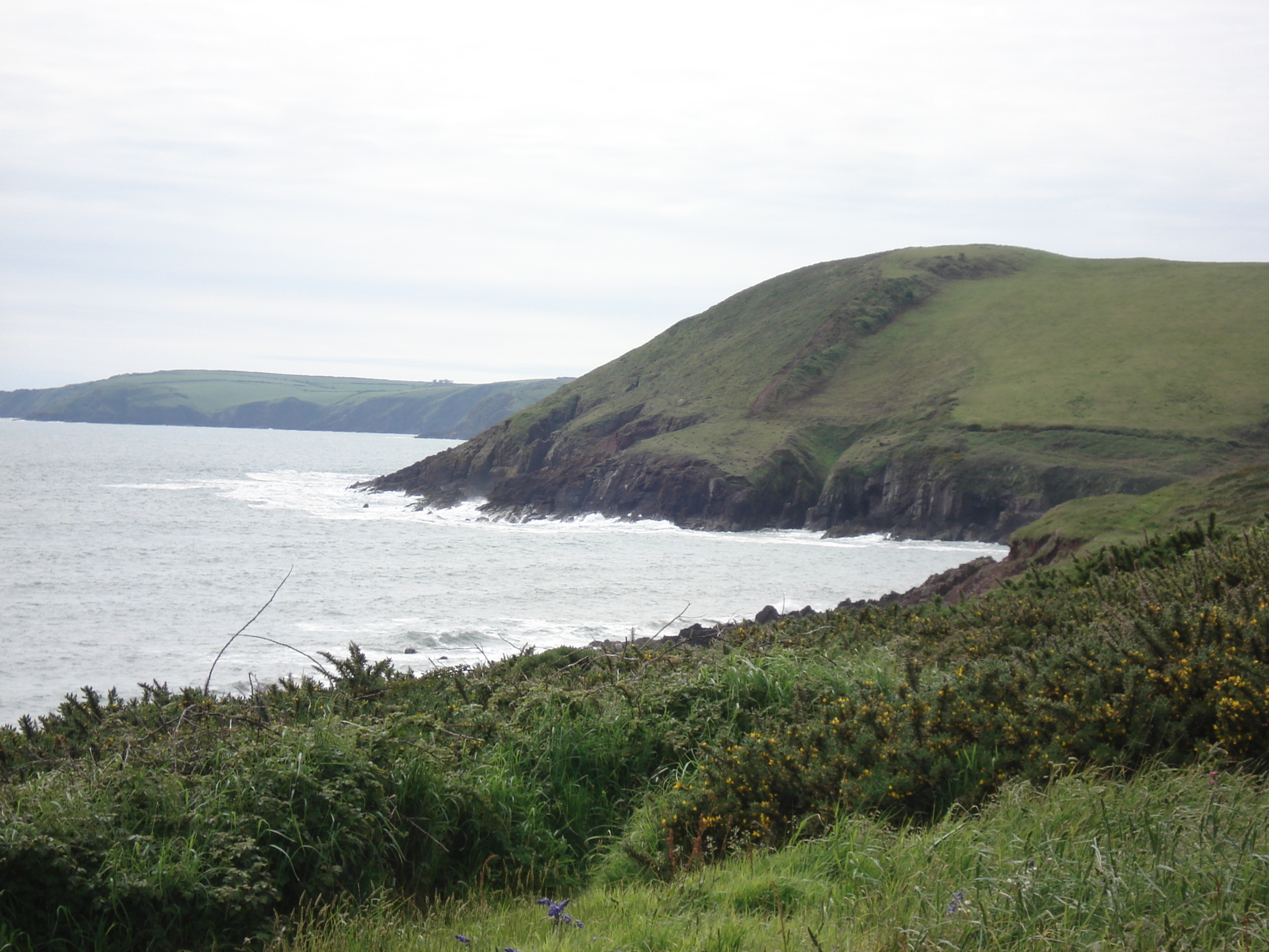 照片 英国(United Kingdom) 彭布罗克郡(Pembrokeshire) 2006-05 40