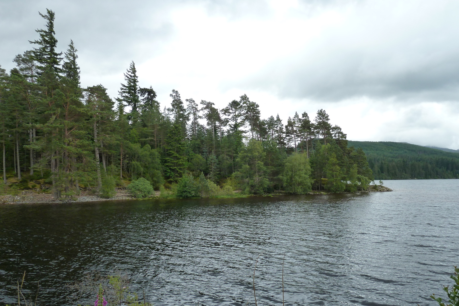 照片 英国(United Kingdom) 苏格兰(Scotland) 阿维莫尔至拉甘湖公路(Aviemore to Loch Laggan road) 2011-07 14