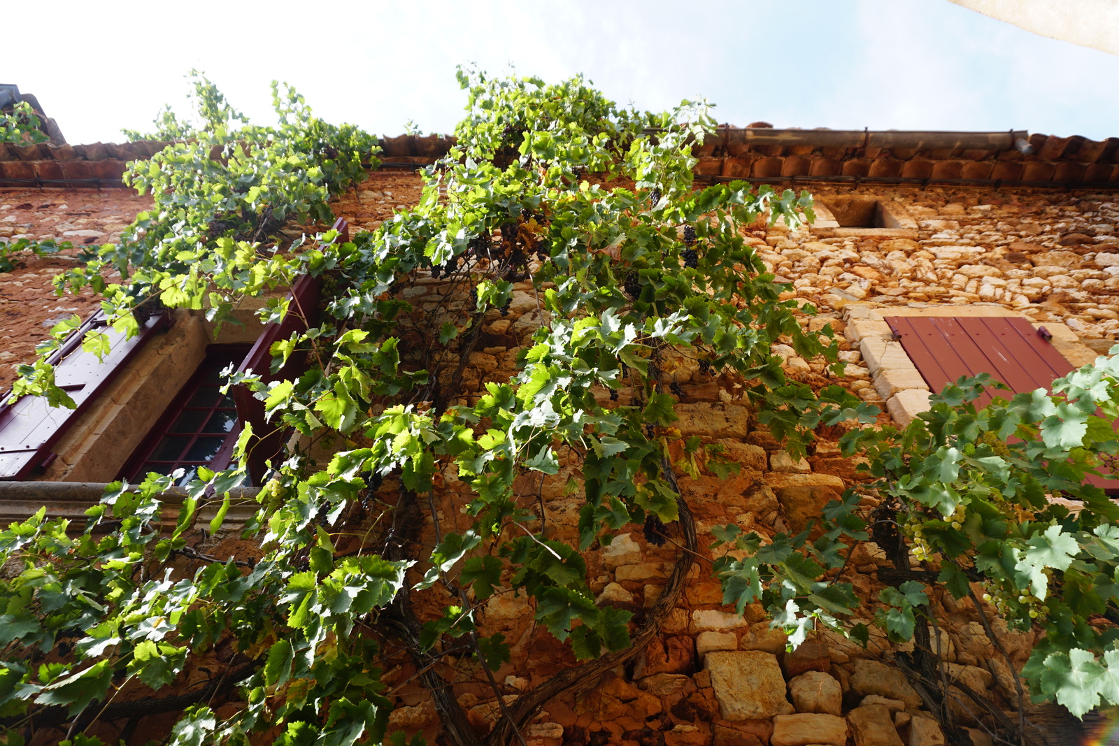 照片 法国(France) 鲁西永(Roussillon) 2017-08 23