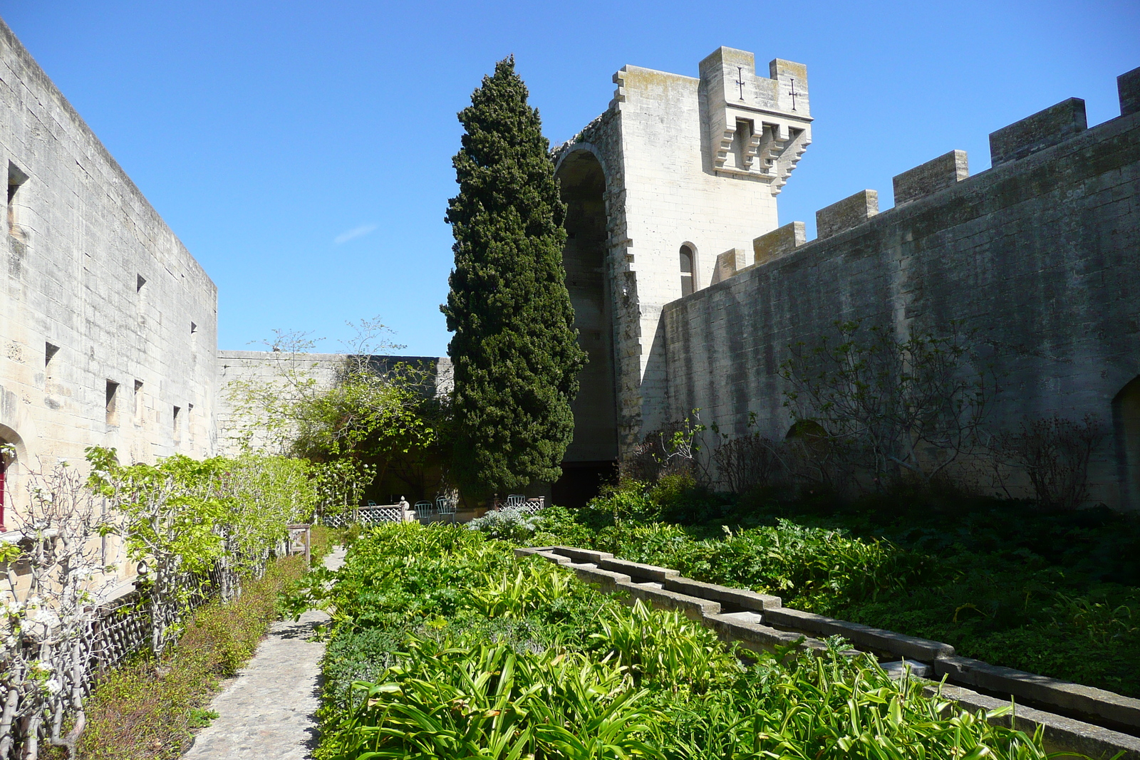 照片 法国(France) 塔拉斯孔(Tarascon) 塔拉斯孔城堡(Tarascon Castle) 2008-04 170
