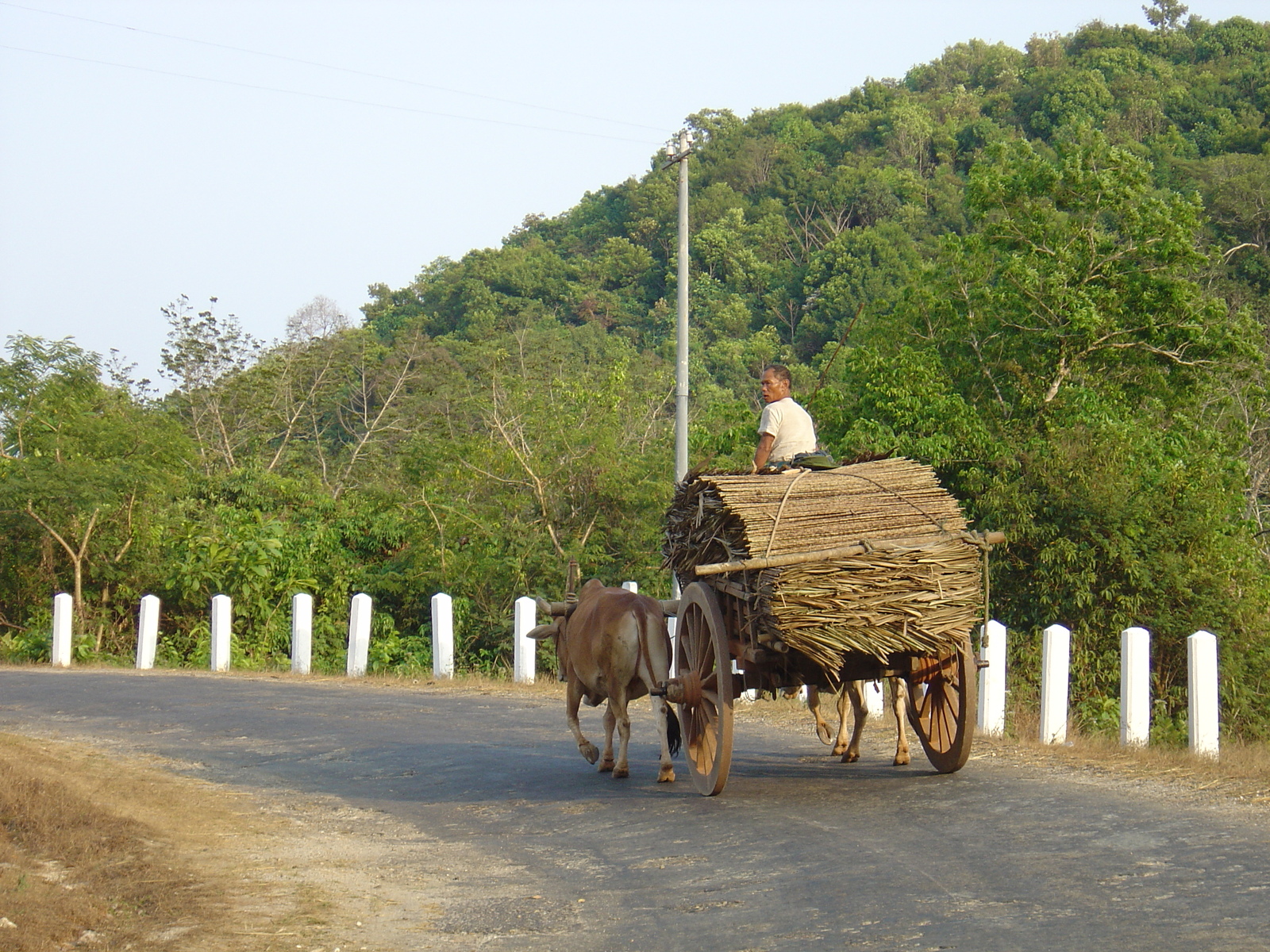 照片 缅甸(Myanmar) 土瓦至茂马干海滩公路(Road from Dawei to Maungmagan beach) 2005-01 36