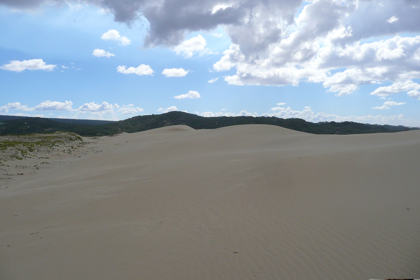 照片 南非(South Africa) 星期日河(Sundays River) 2008-09 44