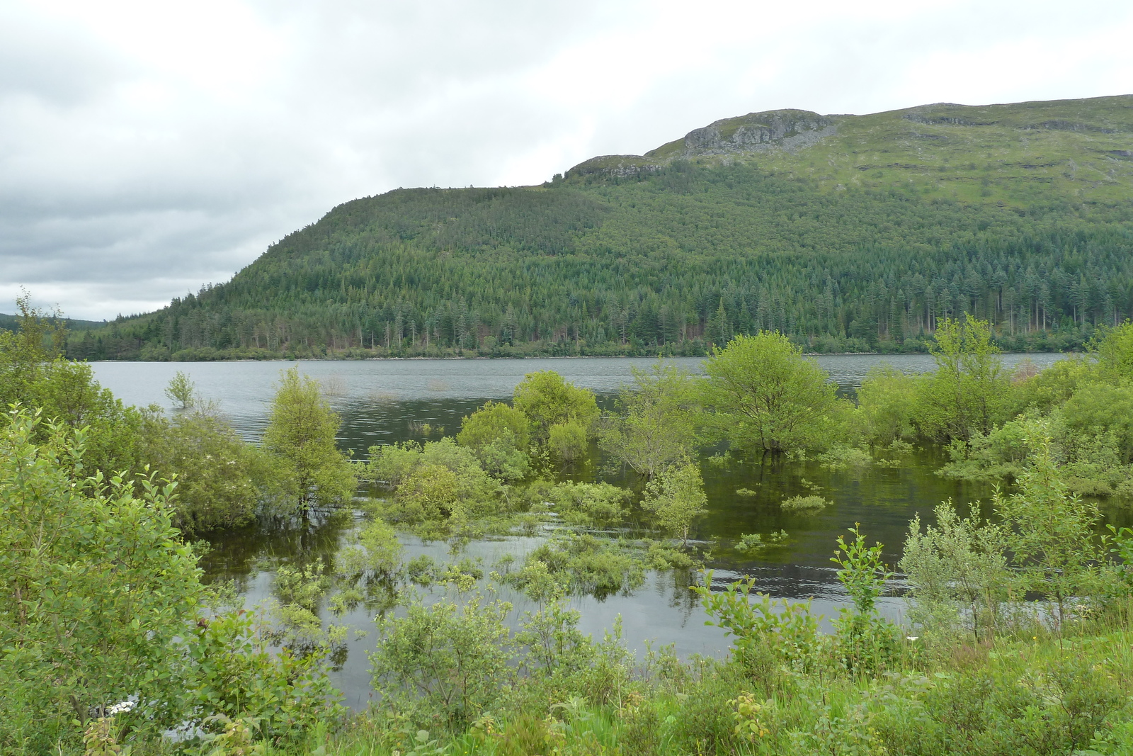 照片 英国(United Kingdom) 苏格兰(Scotland) 阿维莫尔至拉甘湖公路(Aviemore to Loch Laggan road) 2011-07 0