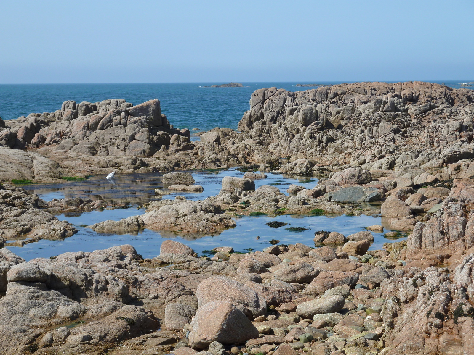 照片 泽西岛(Jersey) 2010-04 67