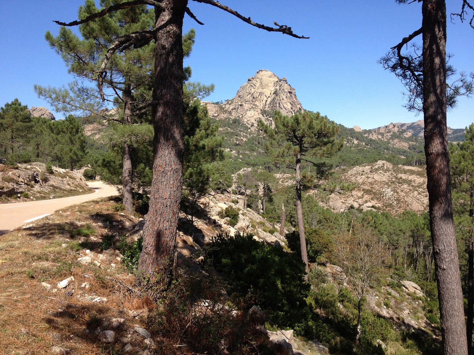 照片 法国(France) 科西嘉岛(Corsica) 奥斯佩达莱森林(L'ospedale Forest) 2012-09 60