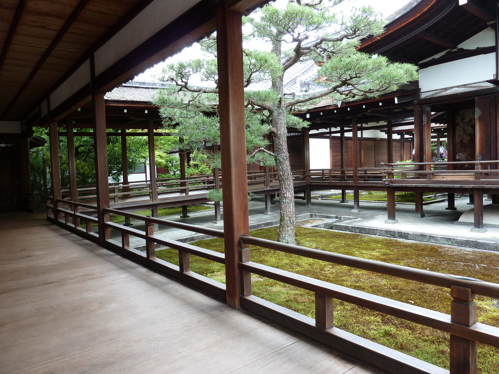 照片 日本(Japan) 京都(Kyoto) 仁和寺御殿(Ninna ji imperial Residence) 2010-06 93