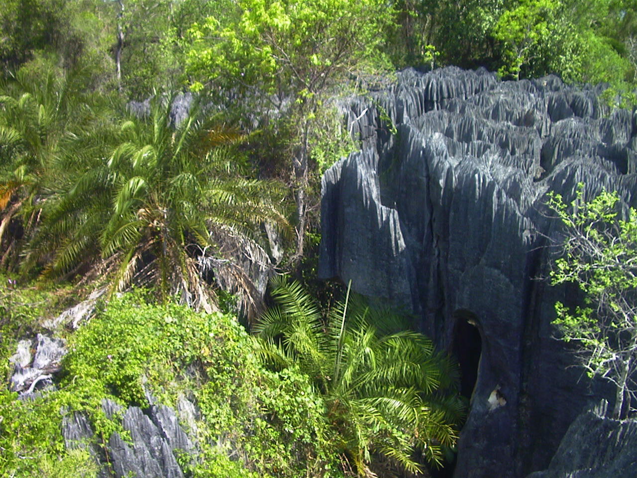 照片 马达加斯加(Madagascar) 黥基(Tsingy) 1999-10 7