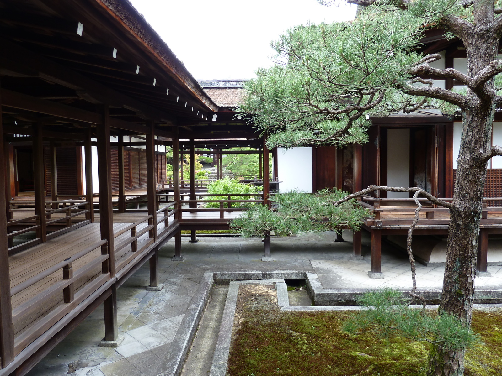 照片 日本(Japan) 京都(Kyoto) 仁和寺御殿(Ninna ji imperial Residence) 2010-06 79