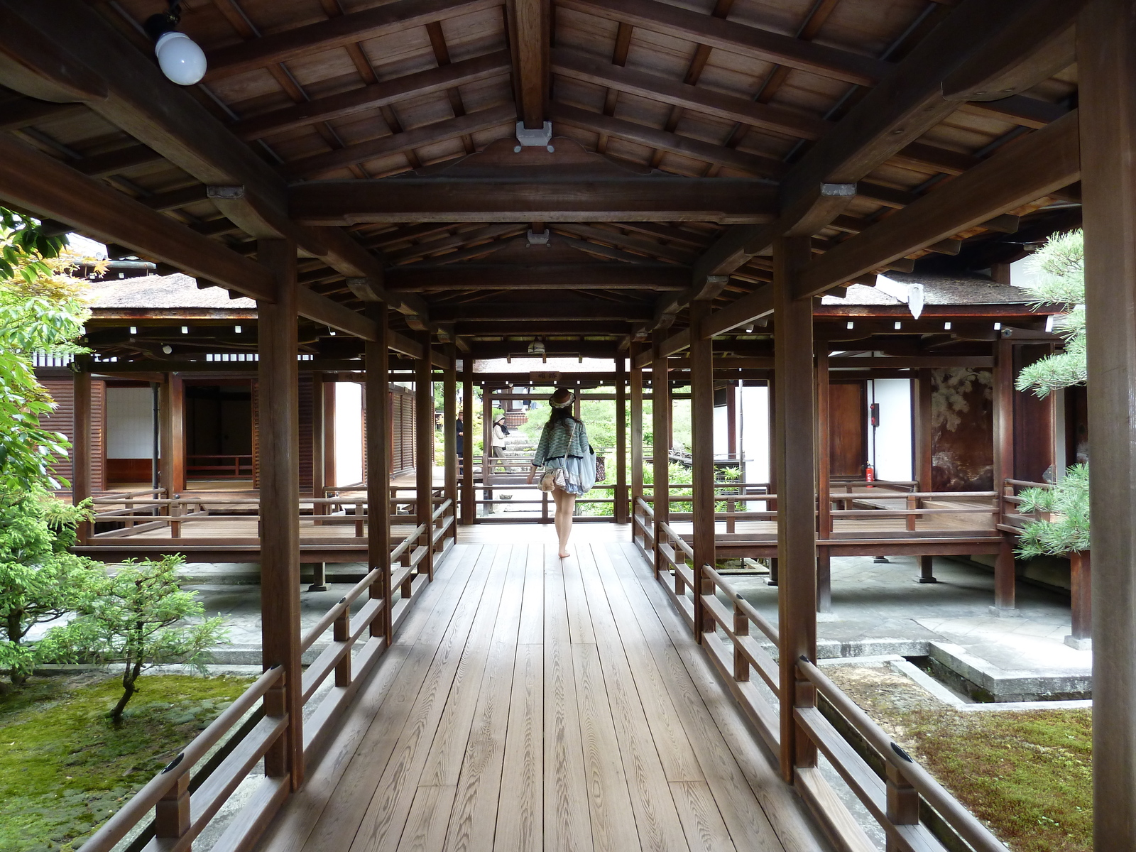 照片 日本(Japan) 京都(Kyoto) 仁和寺御殿(Ninna ji imperial Residence) 2010-06 16