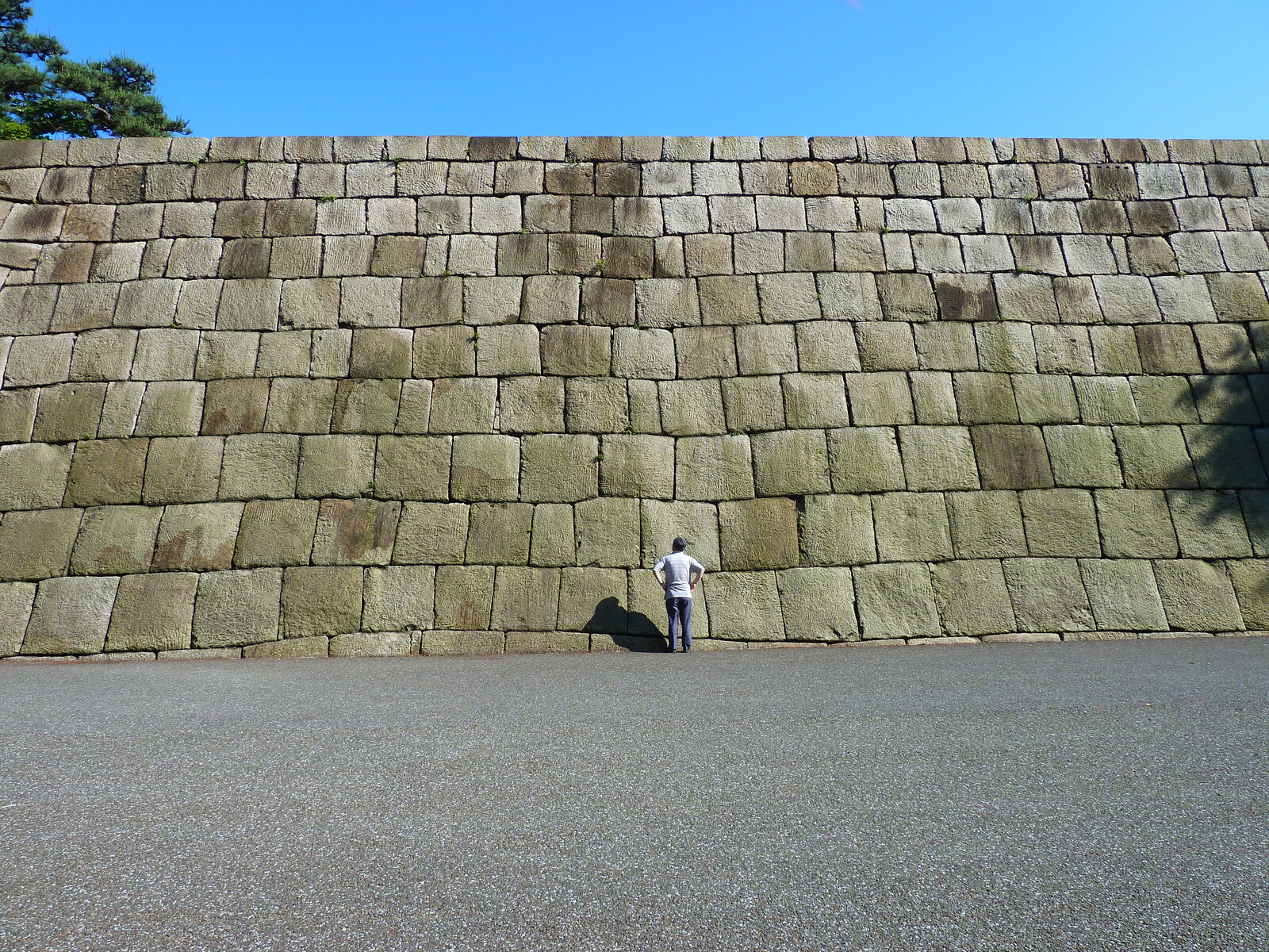 照片 日本(Japan) 东京(Tokyo) 皇居(Imperial Palace) 2010-06 60