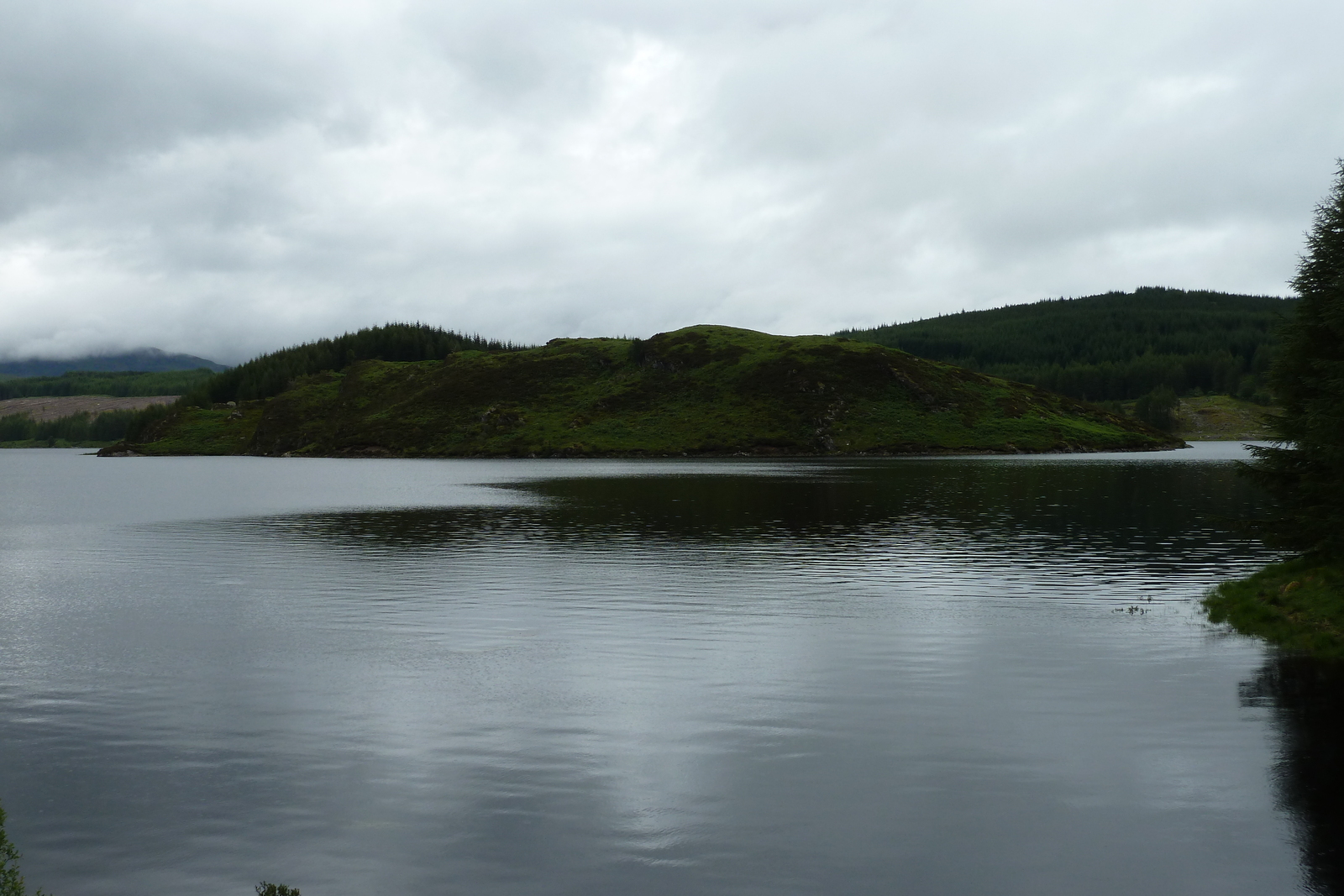 照片 英国(United Kingdom) 苏格兰(Scotland) 阿维莫尔至拉甘湖公路(Aviemore to Loch Laggan road) 2011-07 7