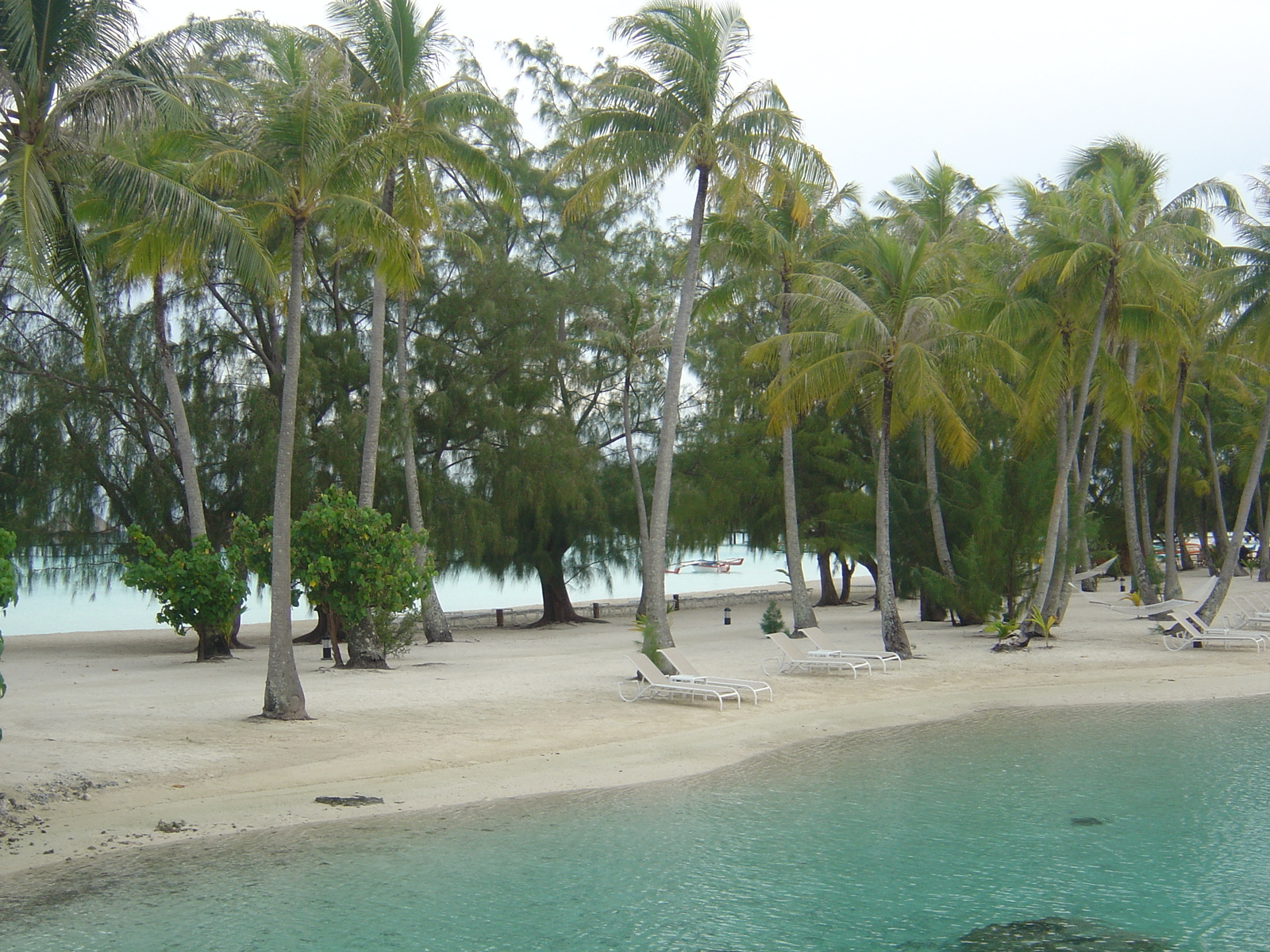 照片 波利尼西亚(Polynesia) 波拉波拉艾美酒店(Meridien Bora Bora Hotel) 2006-04 104