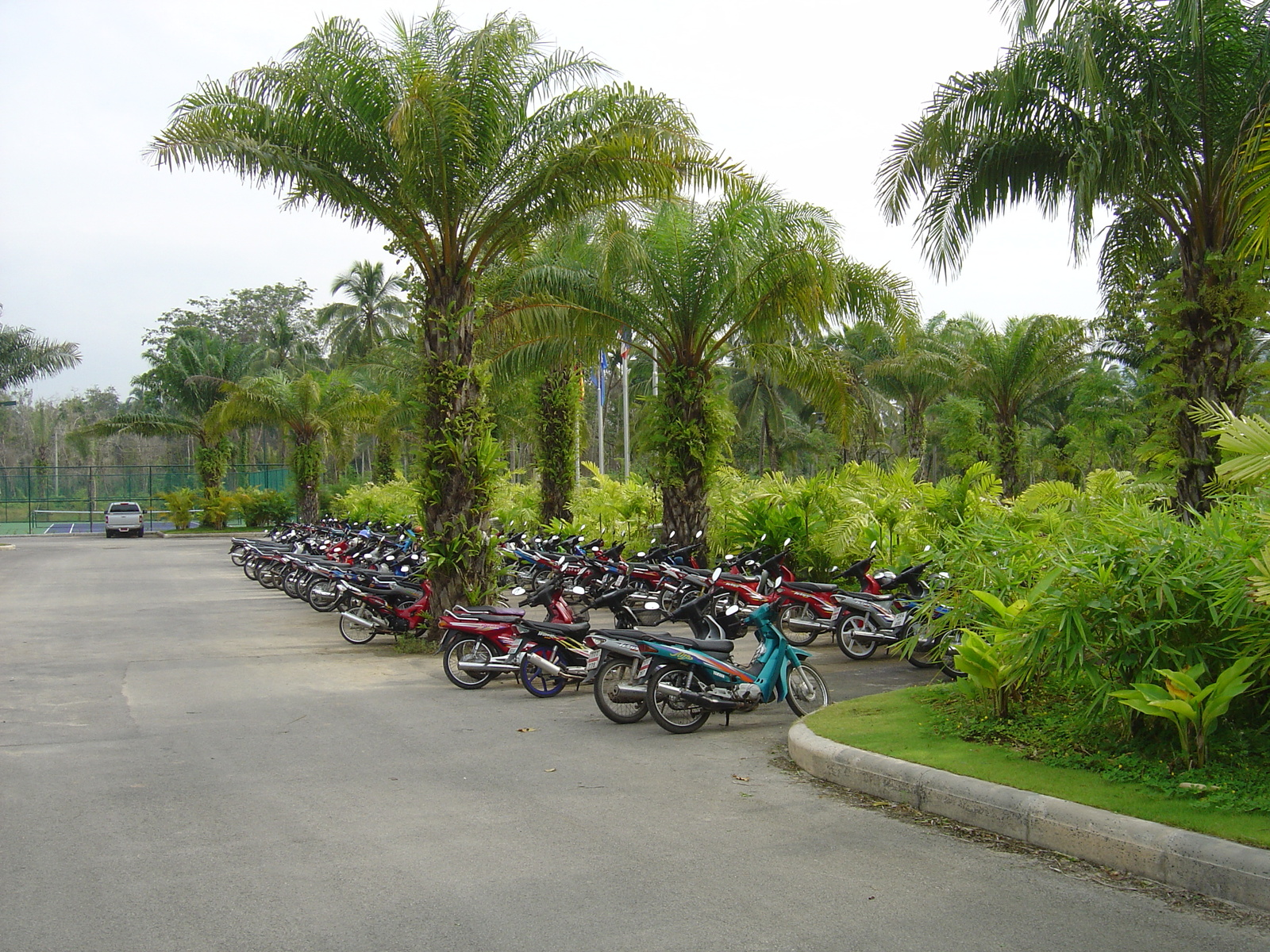 照片 泰国(Thailand) 考拉(Khao Lak) 考拉艾美酒店(Meridien Khao Lak Hotel) 2005-12 263