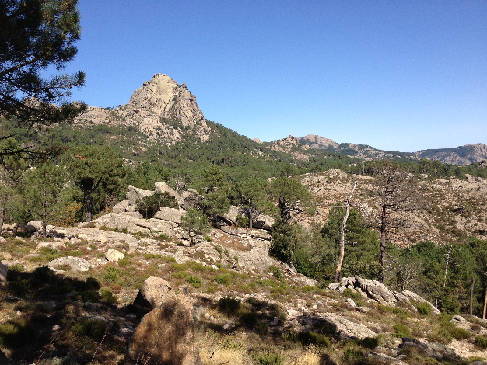 照片 法国(France) 科西嘉岛(Corsica) 奥斯佩达莱森林(L'ospedale Forest) 2012-09 17