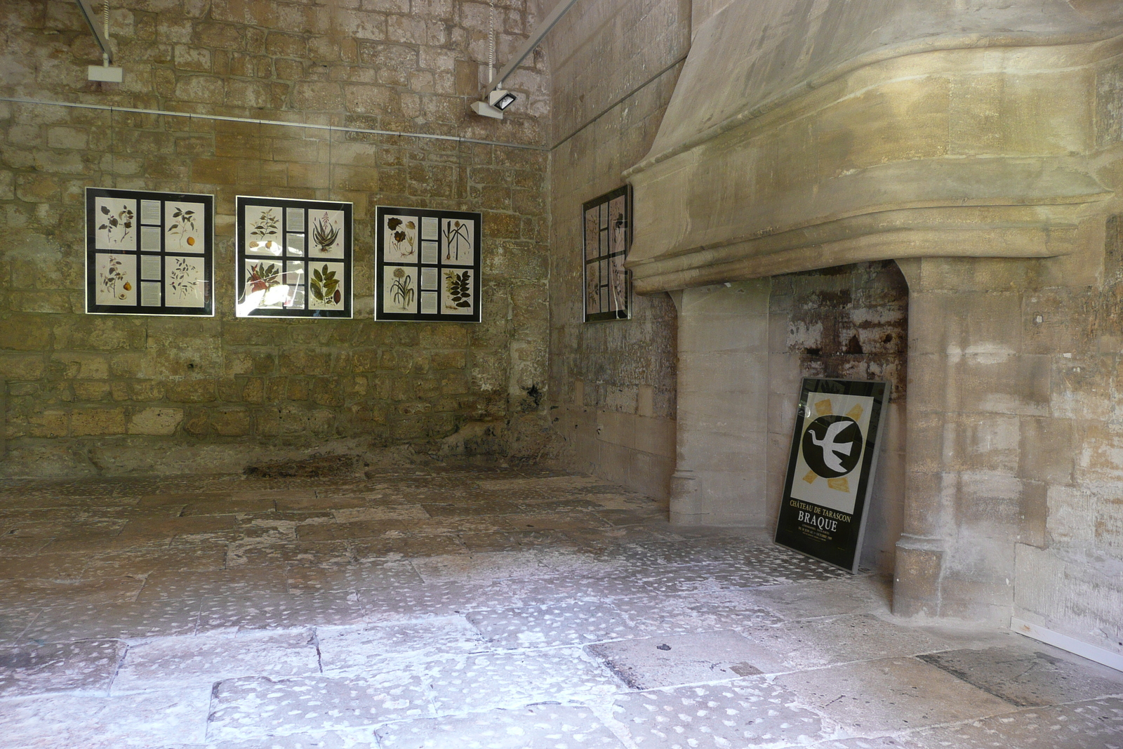 照片 法国(France) 塔拉斯孔(Tarascon) 塔拉斯孔城堡(Tarascon Castle) 2008-04 27