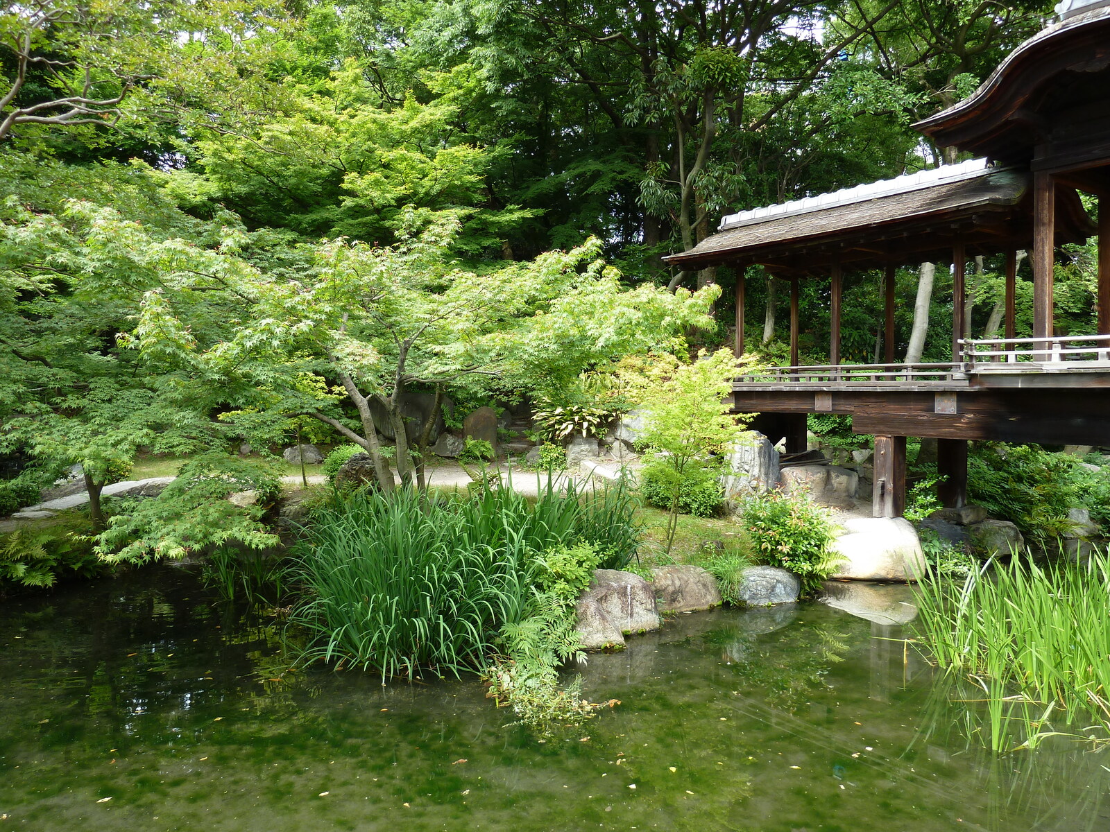 照片 日本(Japan) 京都(Kyoto) 涉成园(Shosei en Garden) 2010-06 35