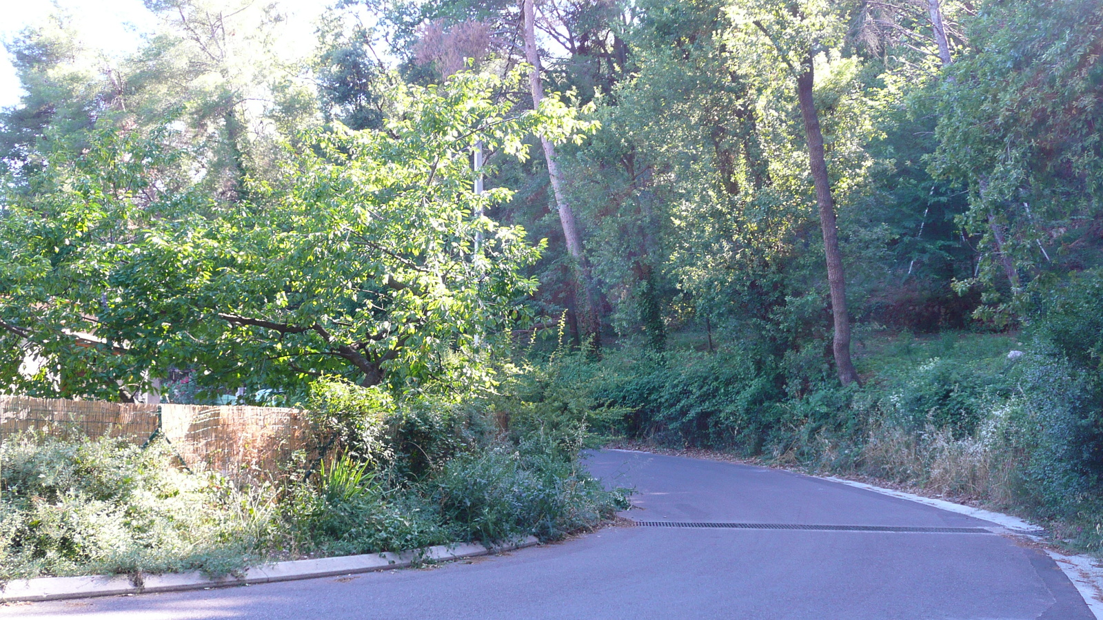 照片 法国(France) 拉戈德(La Gaude) 2007-07 72