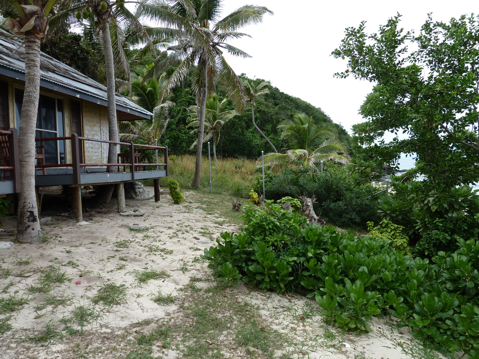 照片 斐济(Fiji) 阿穆努卡岛度假村(Amunuca Island Resort) 2010-05 143
