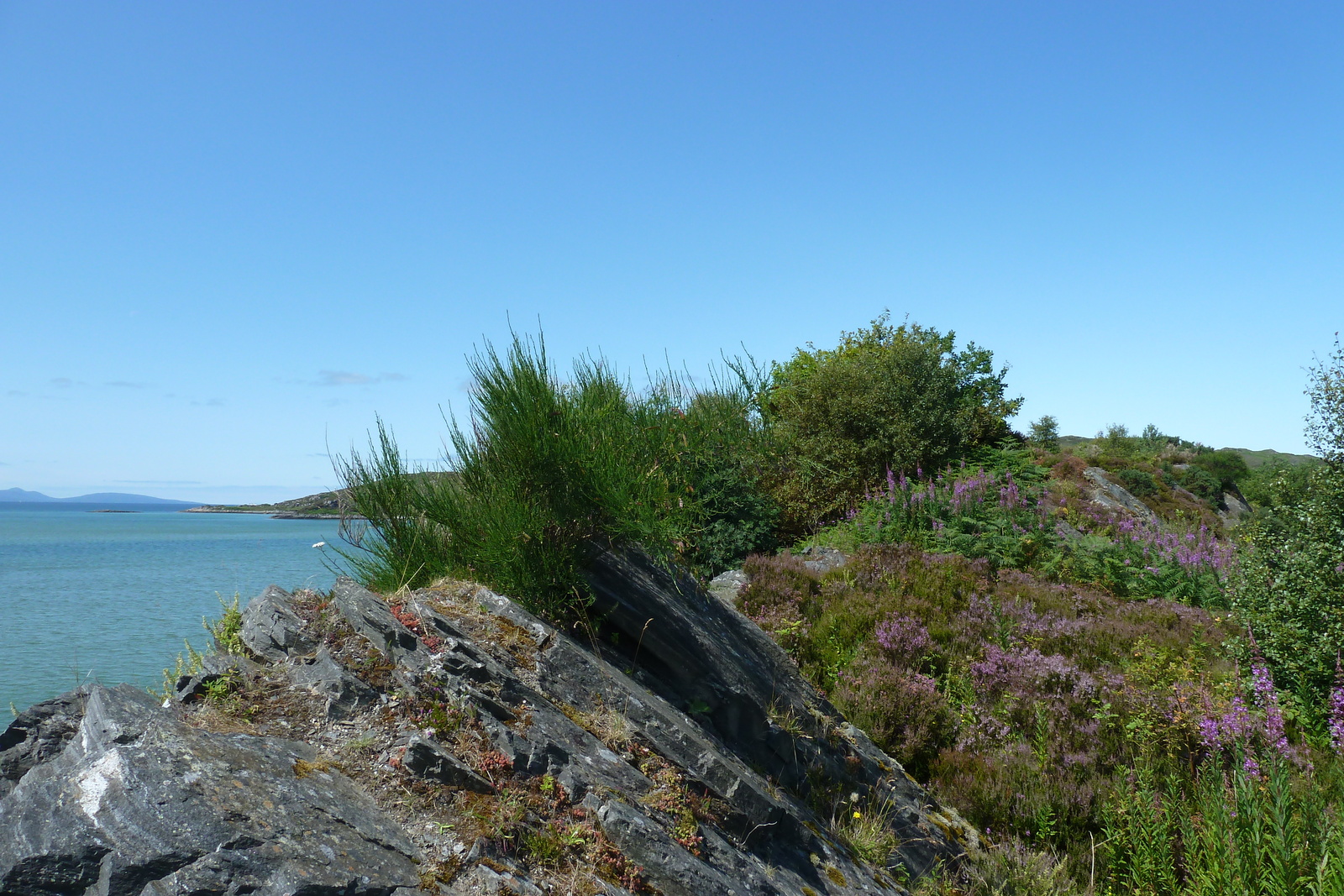 照片 英国(United Kingdom) 苏格兰(Scotland) 阿里塞格海岸(Arisaig coast) 2011-07 97