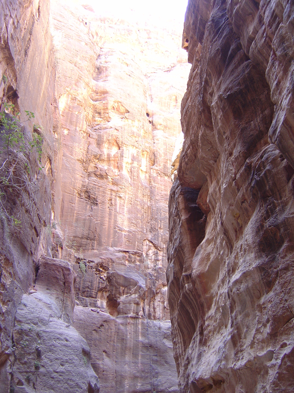 照片 约旦(Jordan) 佩特拉(Petra) 2004-10 1