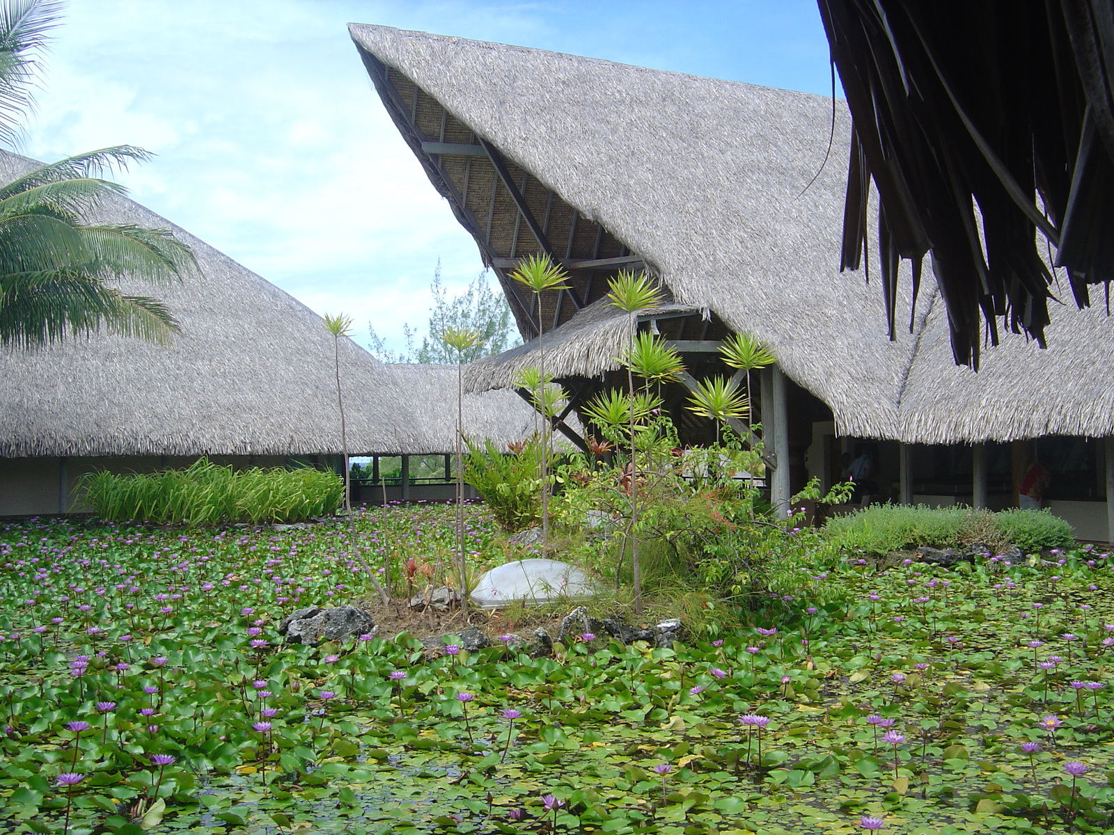 照片 波利尼西亚(Polynesia) 波拉波拉艾美酒店(Meridien Bora Bora Hotel) 2006-04 159