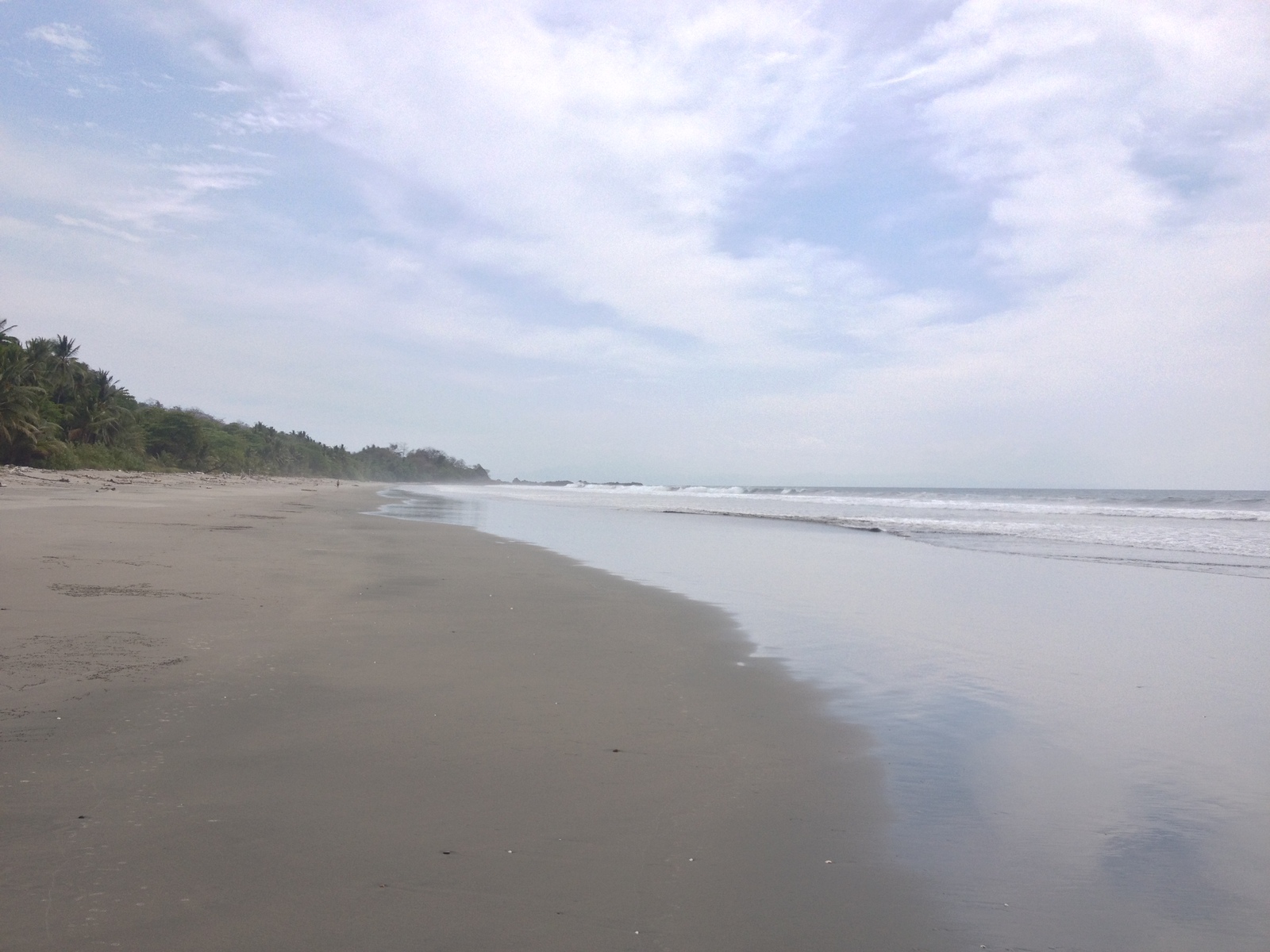 照片 哥斯达黎加(Costa Rica) 蒙特苏马(Montezuma) 2015-03 271