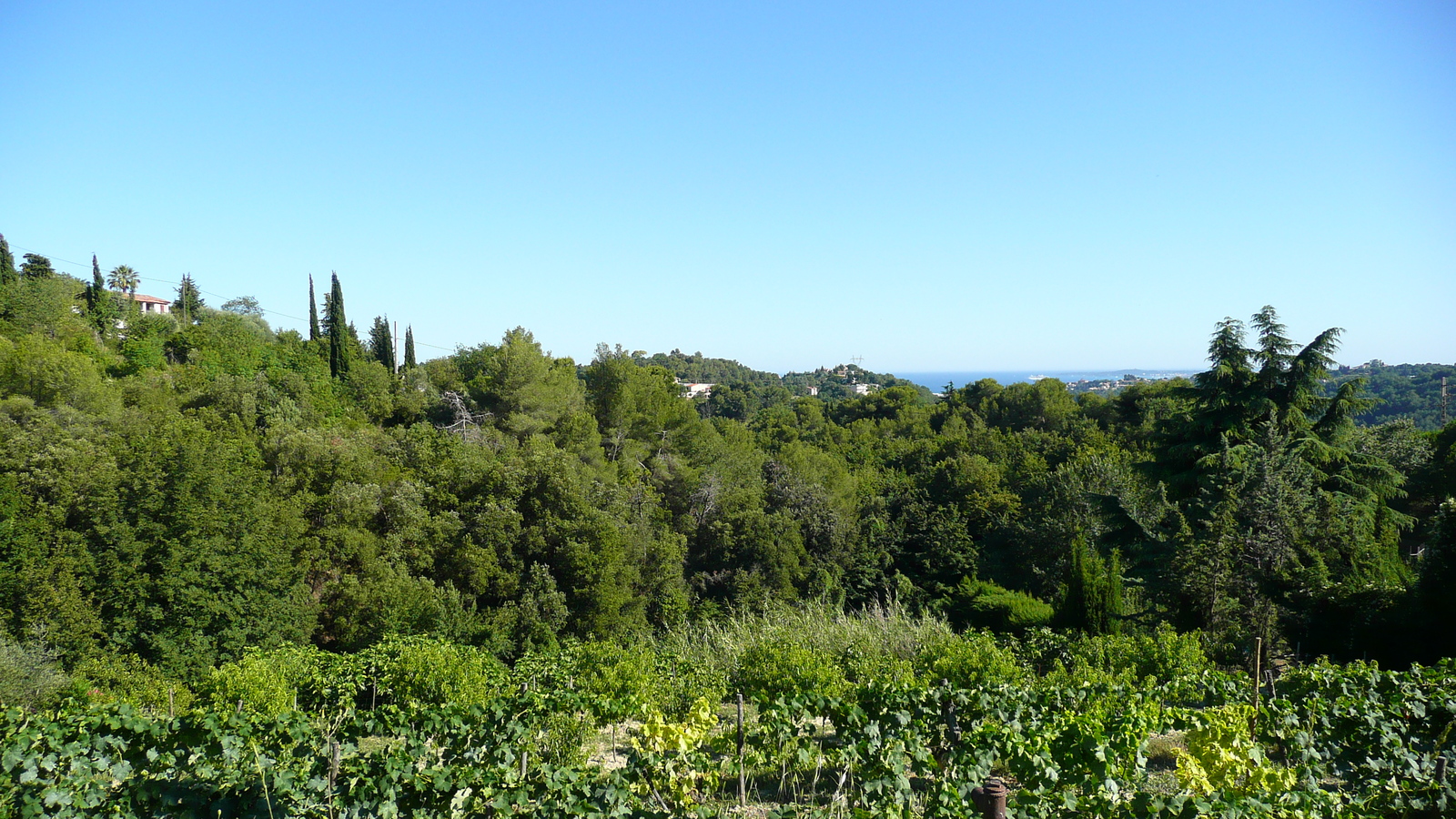 照片 法国(France) 拉戈德(La Gaude) 2007-07 71