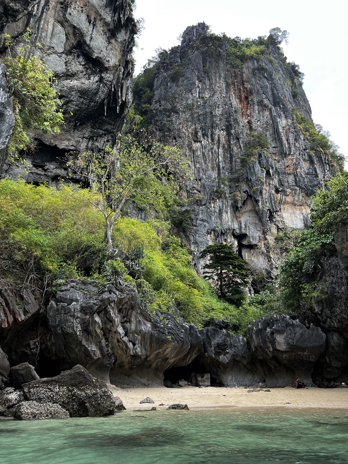 照片 泰国(Thailand) 甲米(Krabi) 2023-01 422