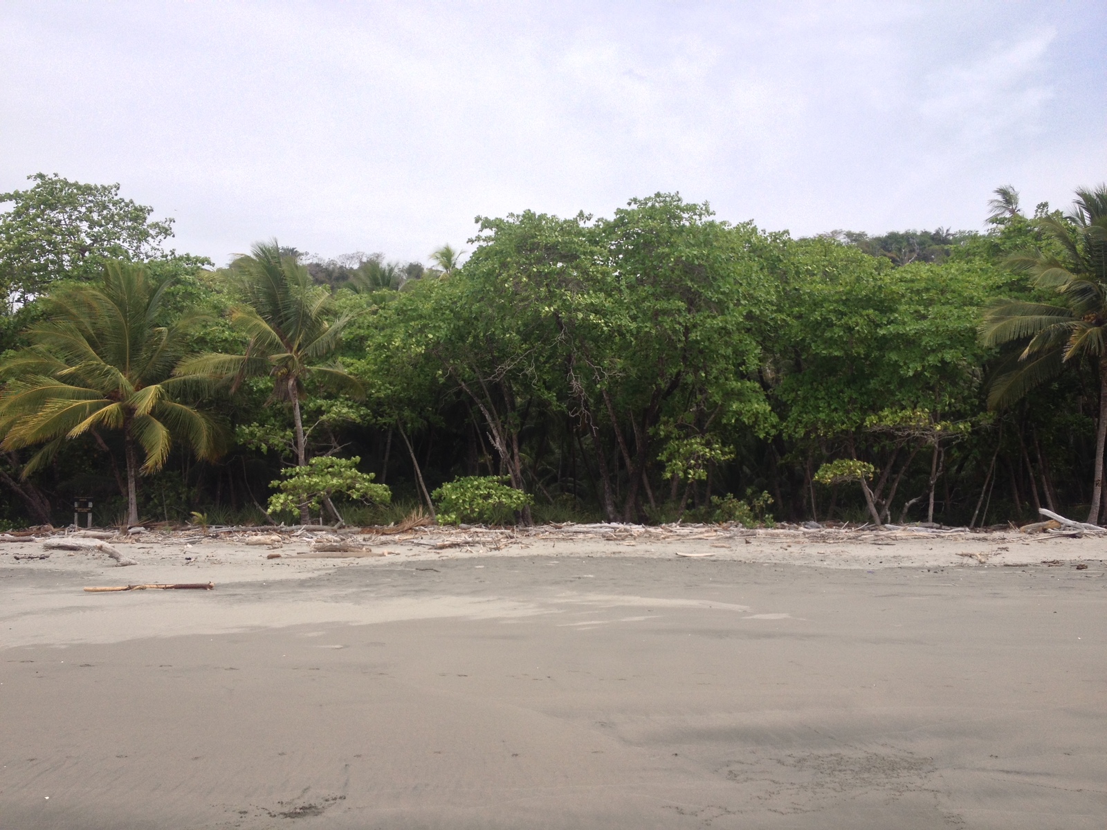照片 哥斯达黎加(Costa Rica) 蒙特苏马(Montezuma) 2015-03 168