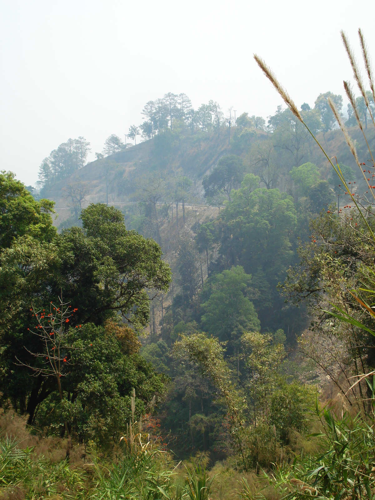 照片 泰国(Thailand) 邦玛帕至拜县公路(Pang Mapha to Pai road) 2007-02 63
