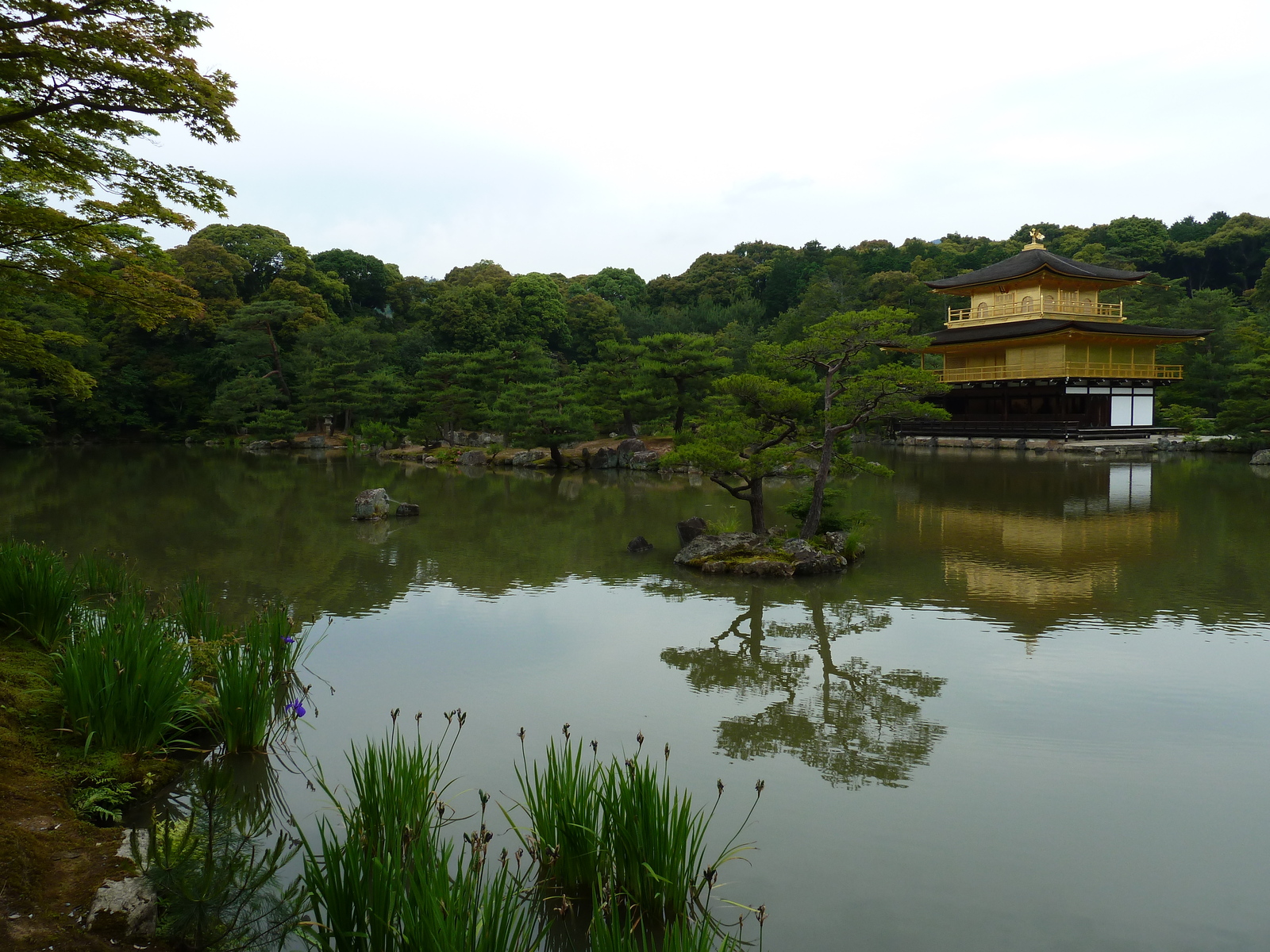 照片 日本(Japan) 京都(Kyoto) 金阁寺(Kinkakuji Temple(Golden Pavilion)) 2010-06 24