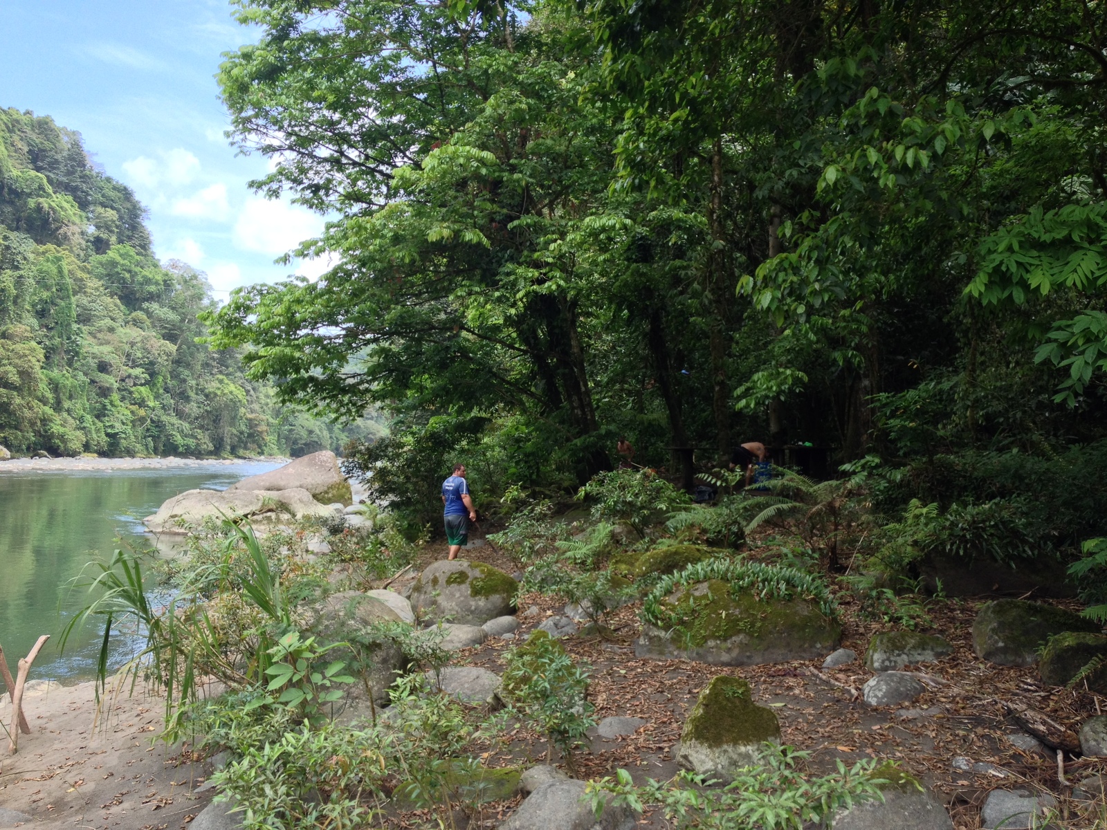 照片 哥斯达黎加(Costa Rica) 帕夸雷河(Pacuare River) 2015-03 40