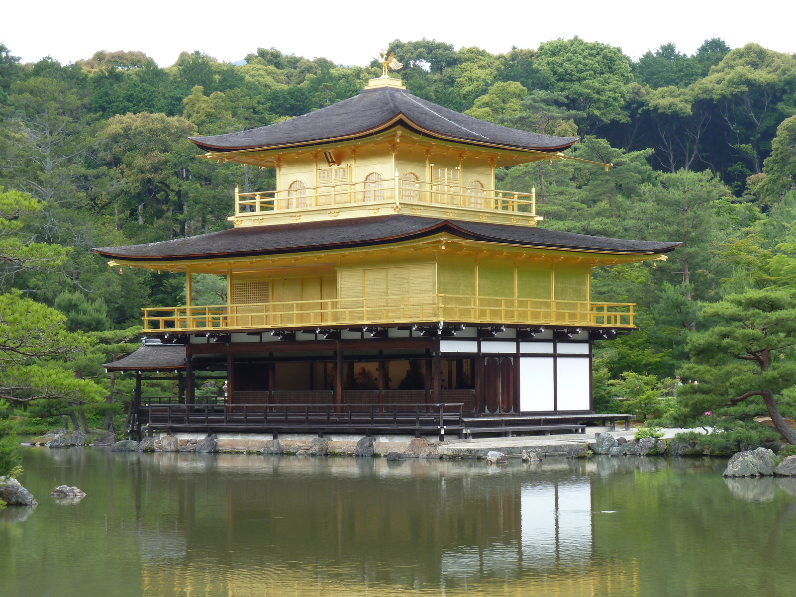 照片 日本(Japan) 京都(Kyoto) 金阁寺(Kinkakuji Temple(Golden Pavilion)) 2010-06 11