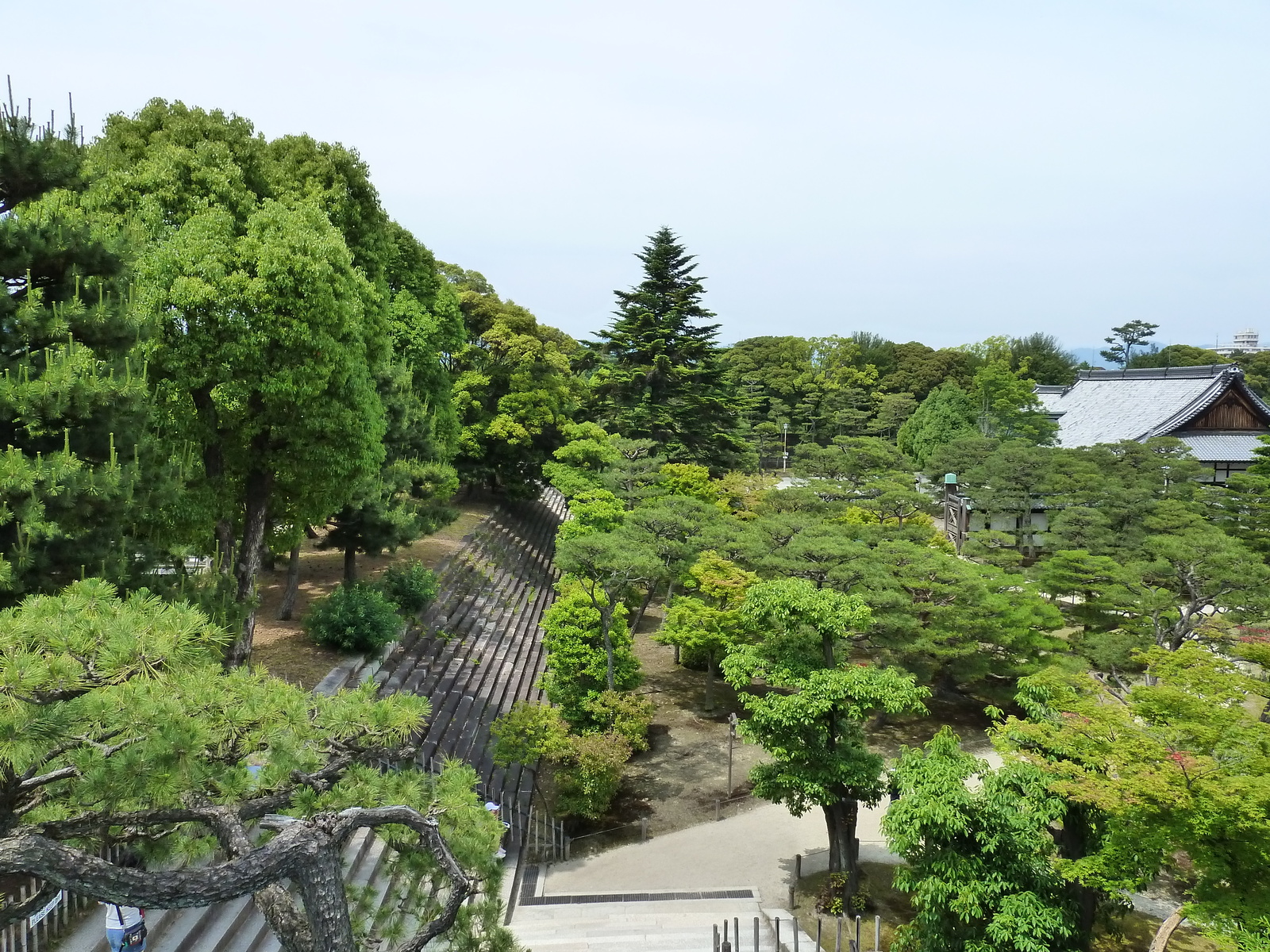 照片 日本(Japan) 京都(Kyoto) 二条城(Nijo Castle) 本丸御殿(Honmaru Palace) 2010-06 11