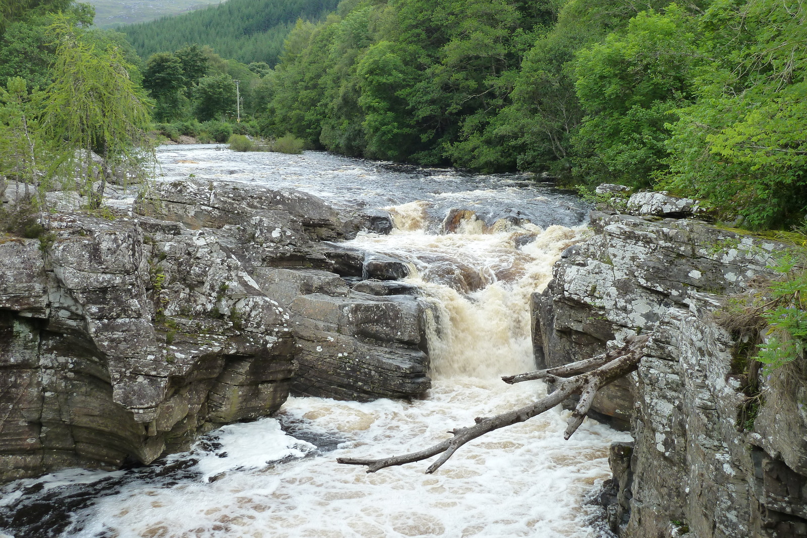 照片 英国(United Kingdom) 苏格兰(Scotland) 拉甘湖至尼斯湖公路(Loch Laggan to Loch Ness road) 2011-07 24