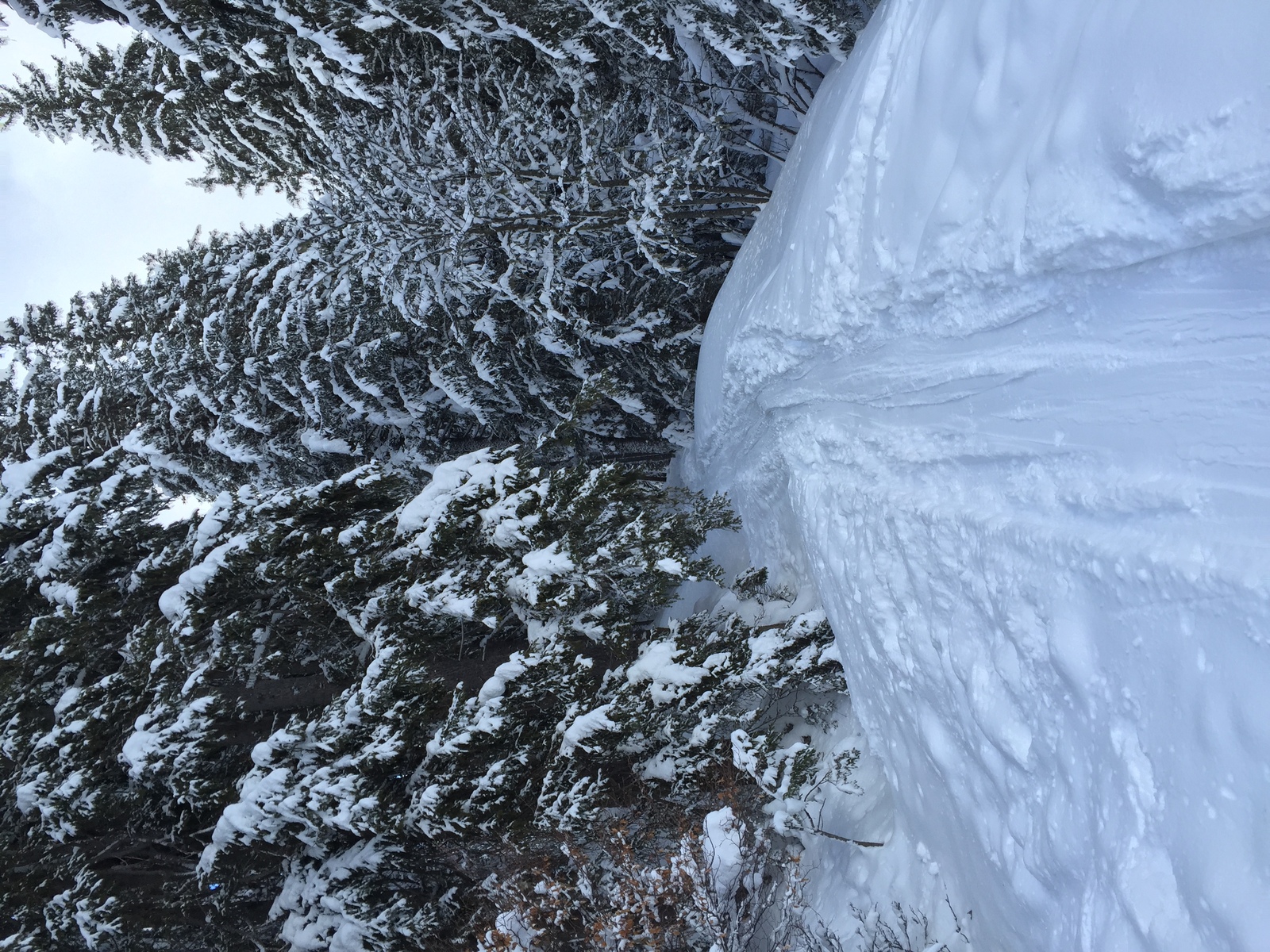 照片 法国(France) 梅杰夫(Megeve) 2016-02 52