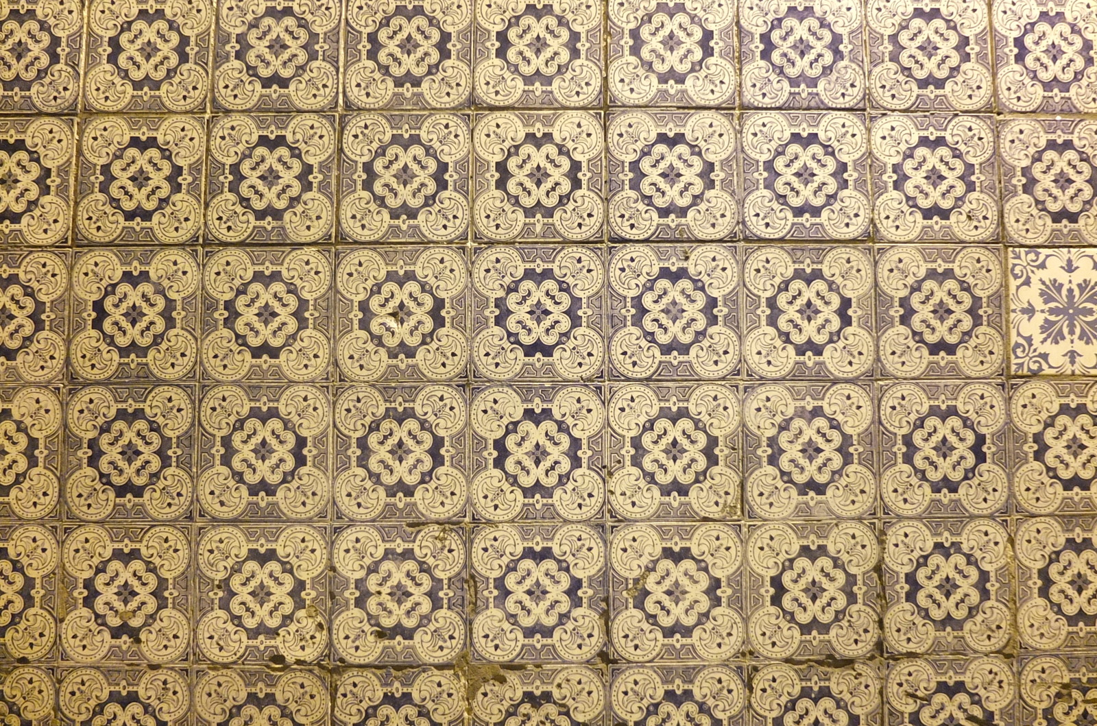 照片 葡萄牙(Portugal) 科英布拉(Coimbra) 2013-01 28