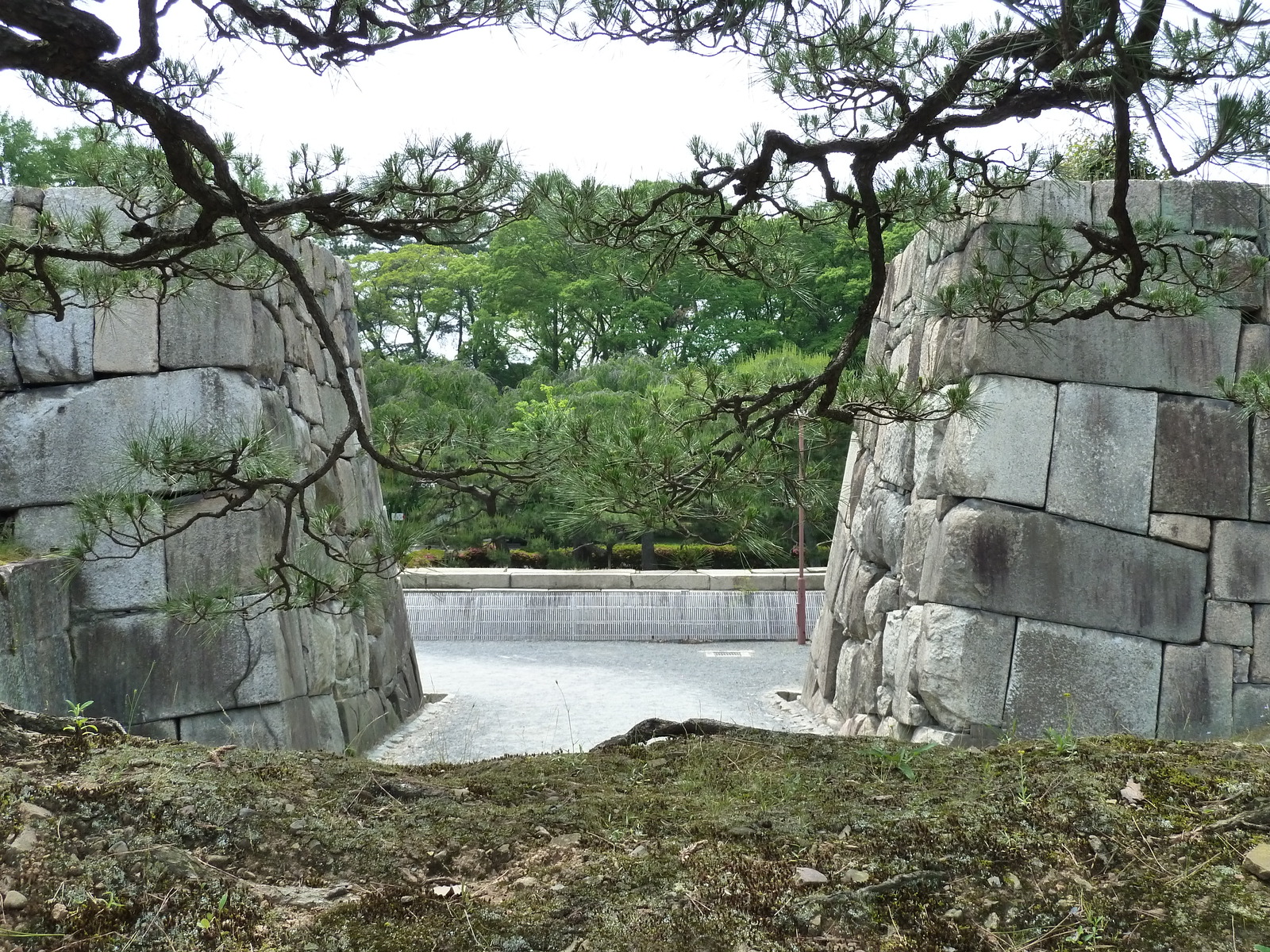 照片 日本(Japan) 京都(Kyoto) 二条城(Nijo Castle) 本丸御殿(Honmaru Palace) 2010-06 59