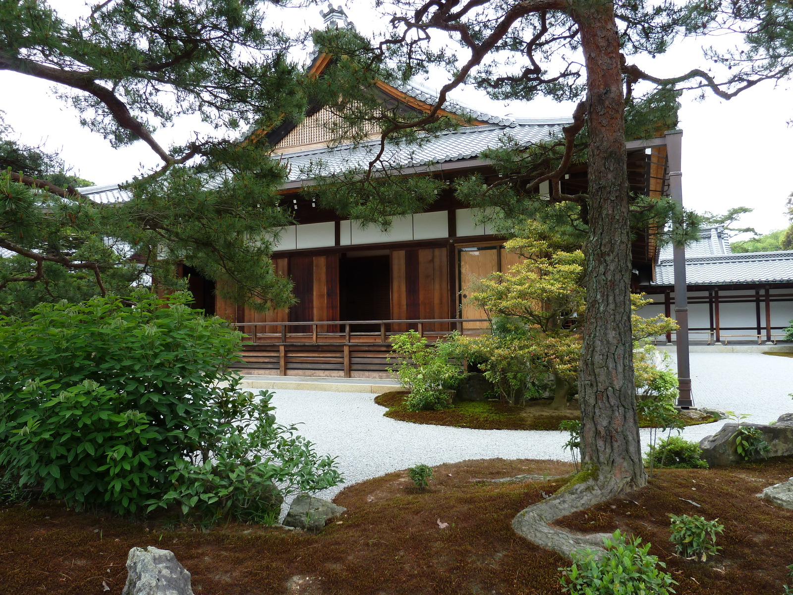 照片 日本(Japan) 京都(Kyoto) 金阁寺(Kinkakuji Temple(Golden Pavilion)) 2010-06 17