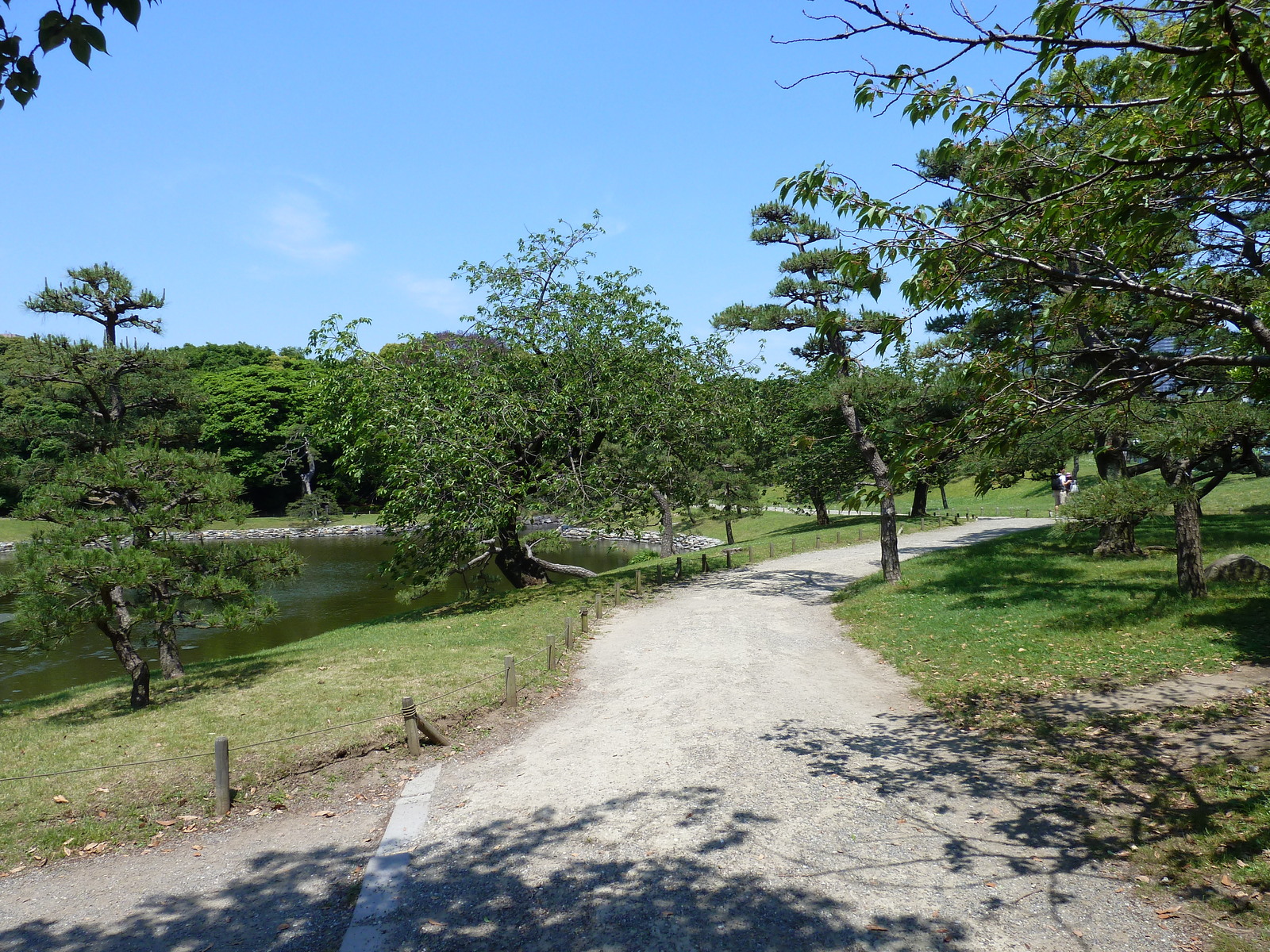 照片 日本(Japan) 东京(Tokyo) 滨离宫恩赐庭园(Hama rikyu Gardens) 2010-06 106