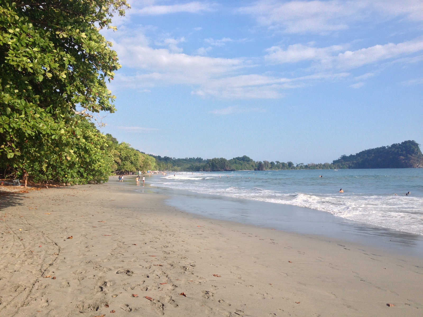 照片 哥斯达黎加(Costa Rica) 曼努埃尔安东尼奥(Manuel Antonio) 2015-03 447