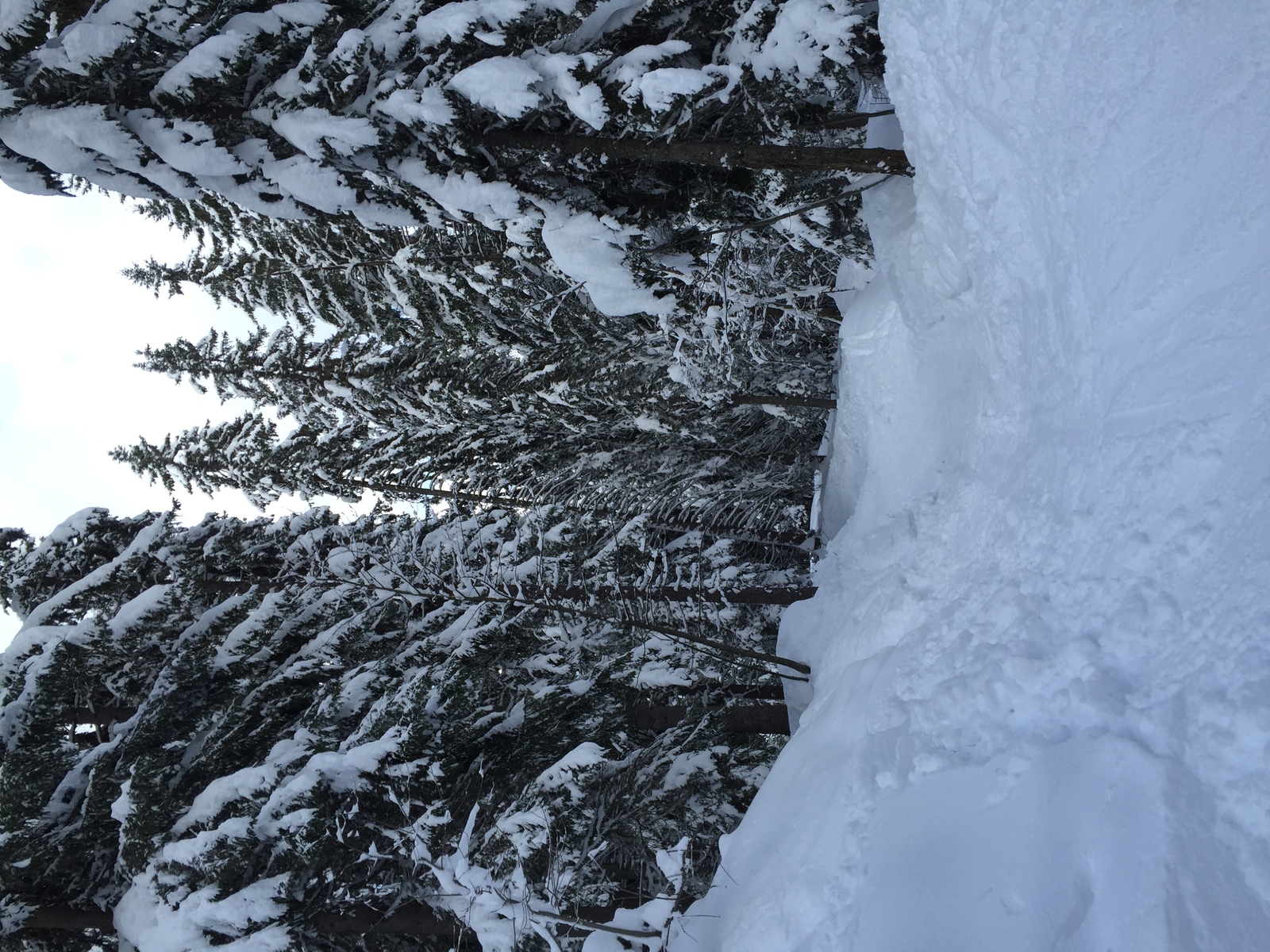 照片 法国(France) 梅杰夫(Megeve) 2016-02 78