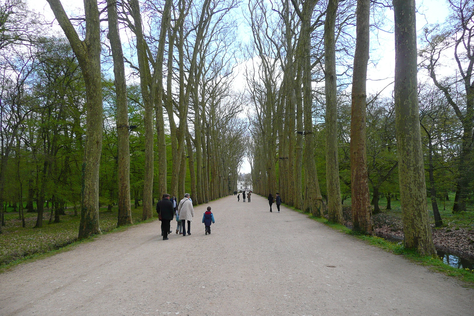 照片 法国(France) 舍农索城堡(Chenonceau Castle) 舍农索城堡花园(Gardens of Chenonceau) 2008-04 31