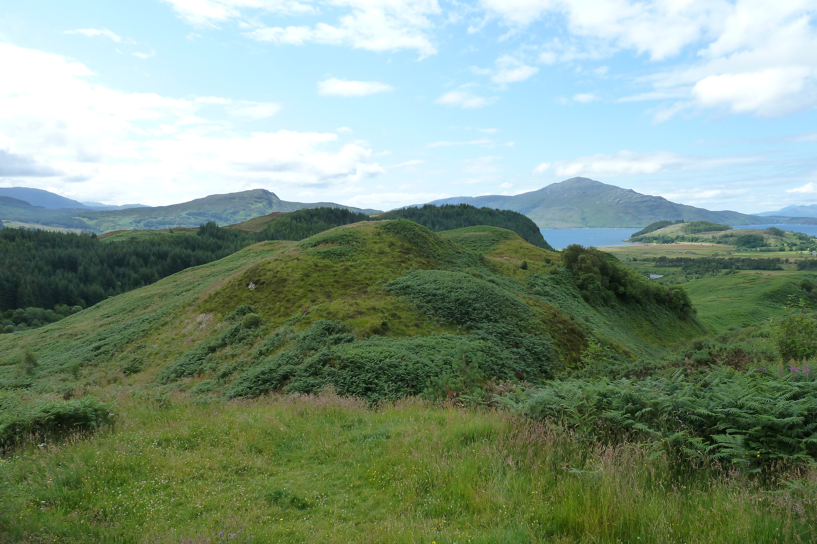 照片 英国(United Kingdom) 韦斯特罗斯(Wester Ross) 2011-07 184