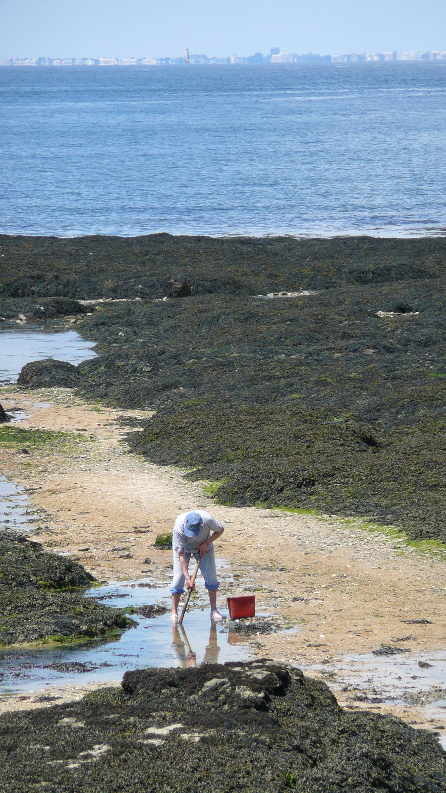 照片 法国(France) 普雷法耶(Prefailles) 圣吉尔达角至拉普雷(La pointe Saint Gildas to La Pree) 2007-08 27