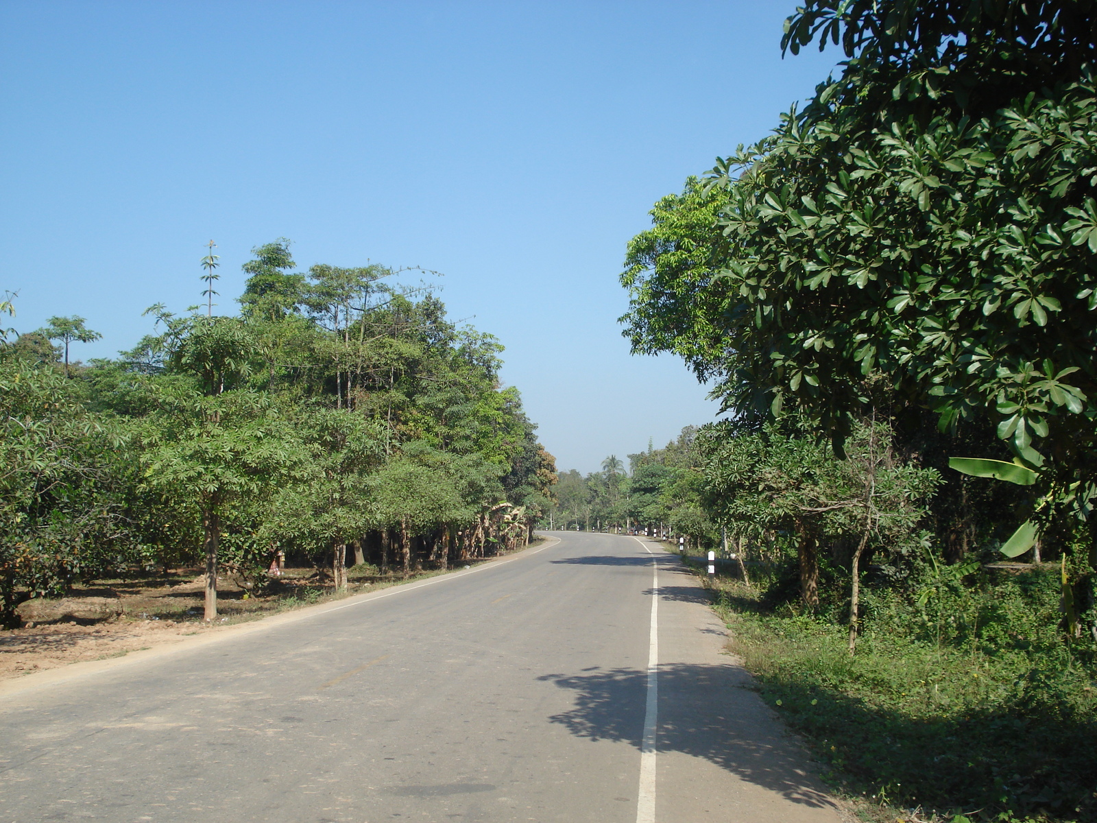 照片 泰国(Thailand) 彭世洛(Phitsanulok) 2008-01 31
