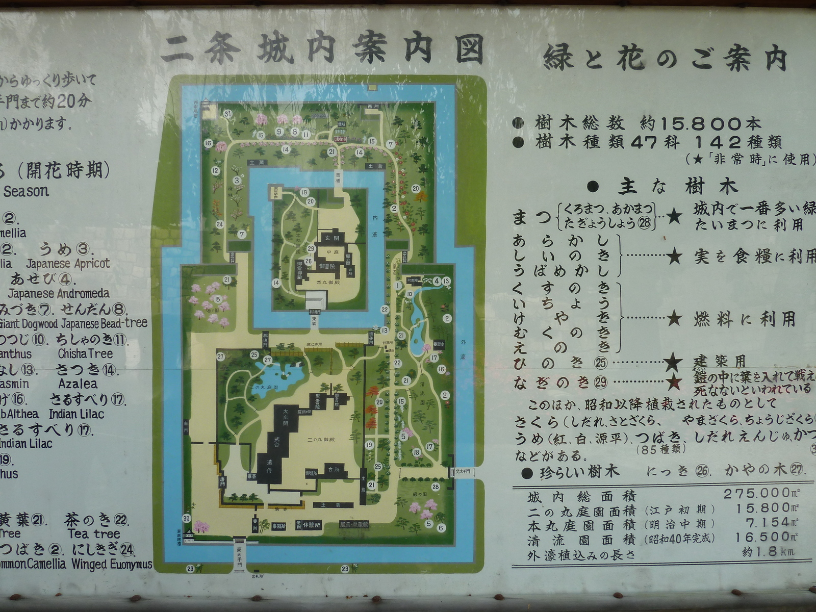 照片 日本(Japan) 京都(Kyoto) 二条城(Nijo Castle) 本丸御殿(Honmaru Palace) 2010-06 60