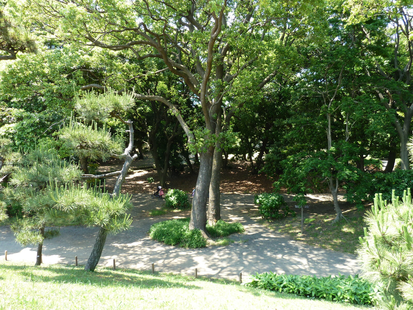 照片 日本(Japan) 东京(Tokyo) 滨离宫恩赐庭园(Hama rikyu Gardens) 2010-06 0