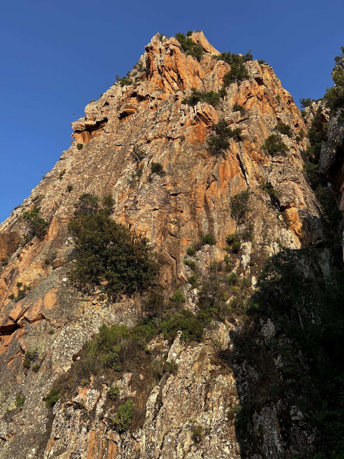 照片 法国(France) 科西嘉岛(Corsica) 皮亚纳峡湾(Calanques de Piana) 2023-06 40