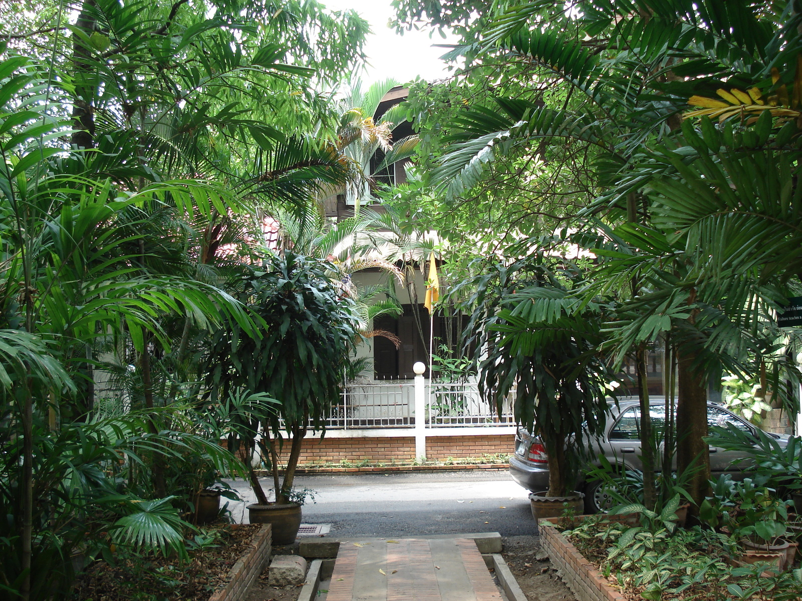 照片 泰国(Thailand) 清迈(Chiang Mai) 护城河内(Inside Canal) 帕辛寺(Wat Phra Sing temple) 2006-04 11